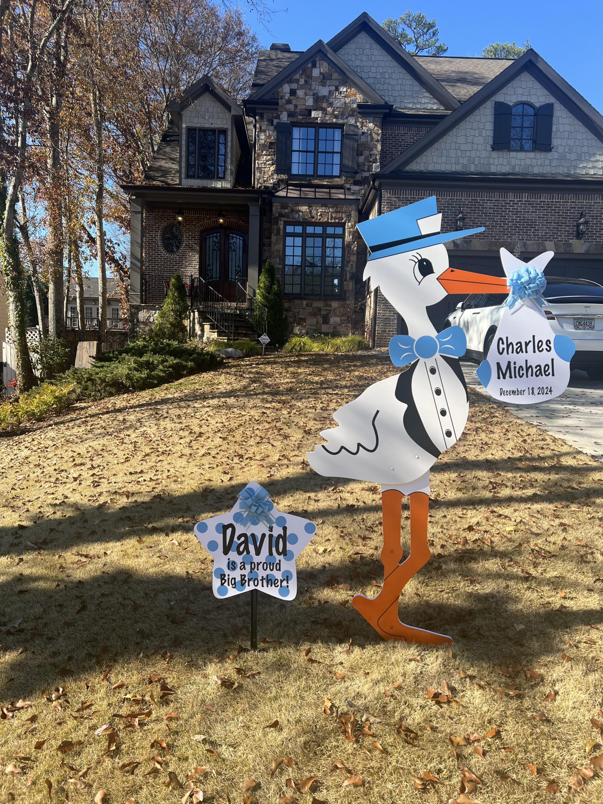 Birth Announcement Stork Sign in Atlanta, GA
