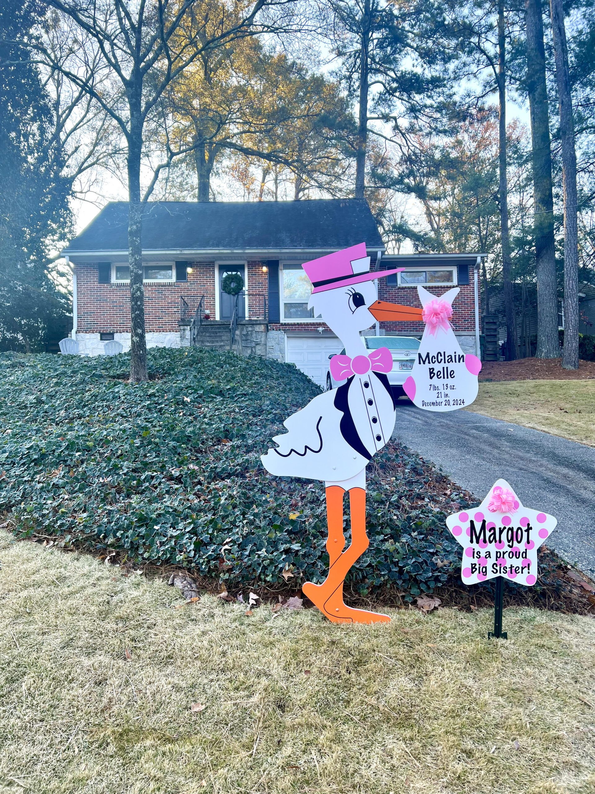 Birth Announcement Stork Sign in Atlanta, GA