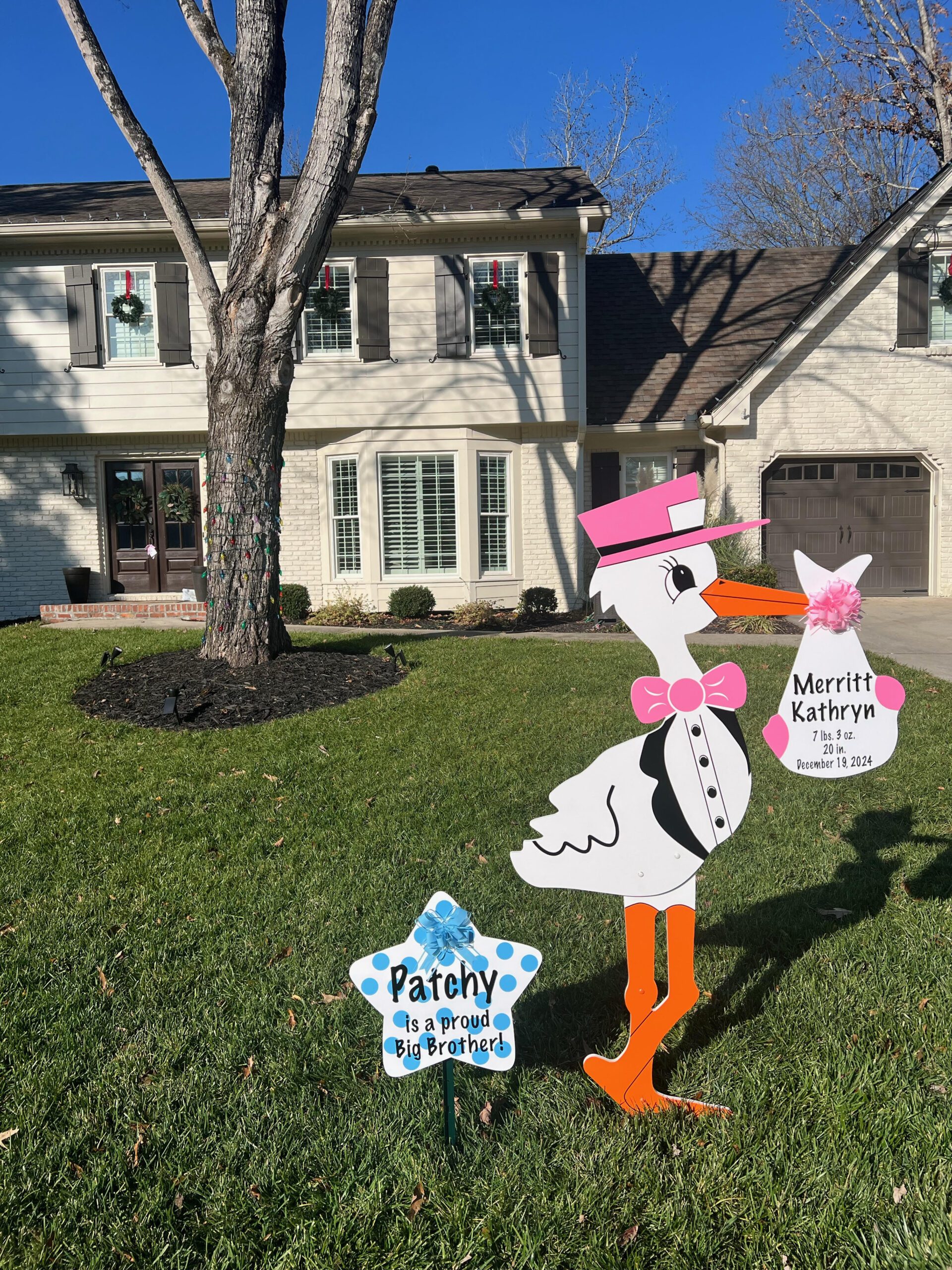 Birth Announcement Stork Sign in Dunwoody, GA