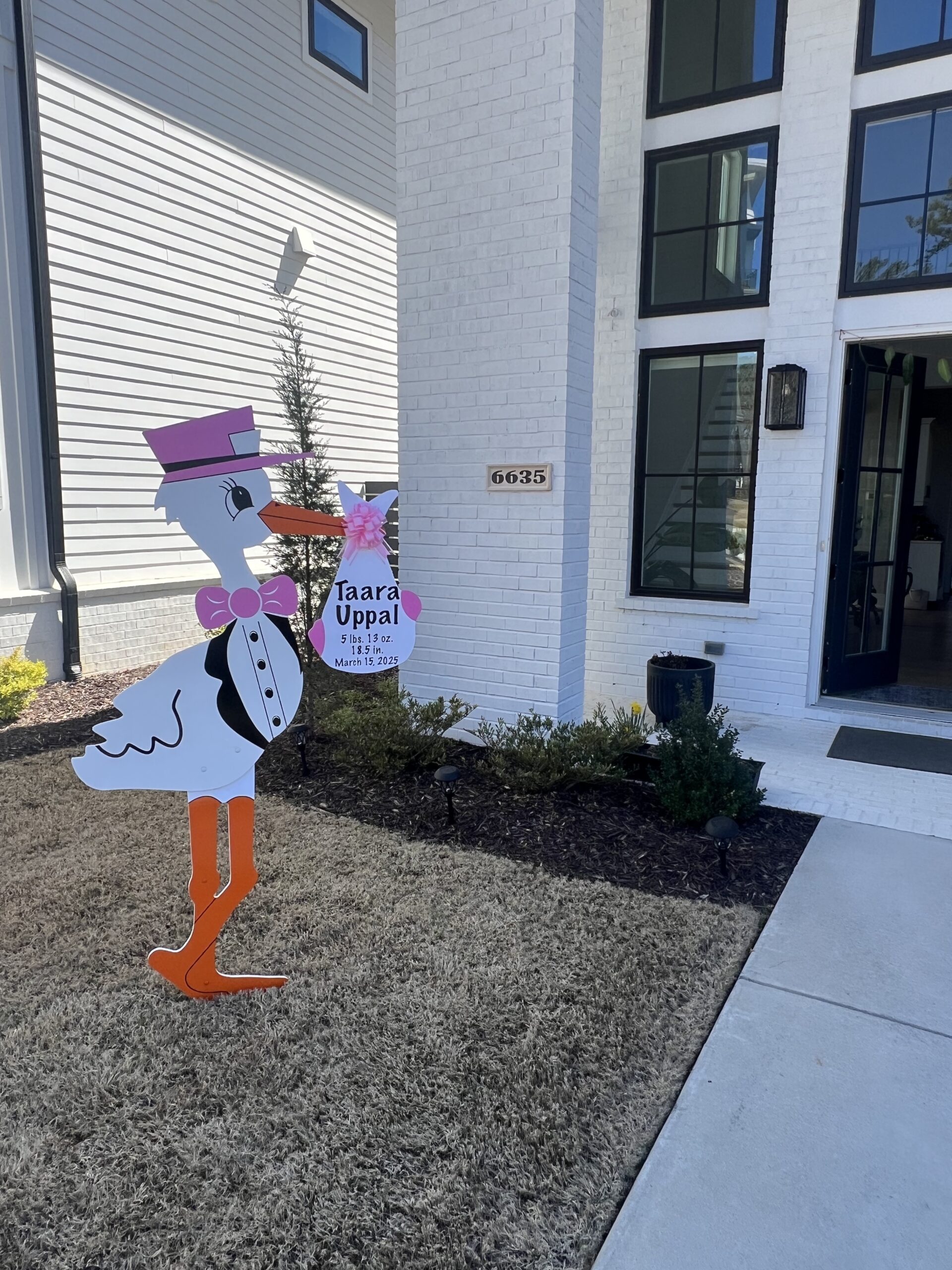 Birth Announcement Stork Sign in Alpharetta, GA