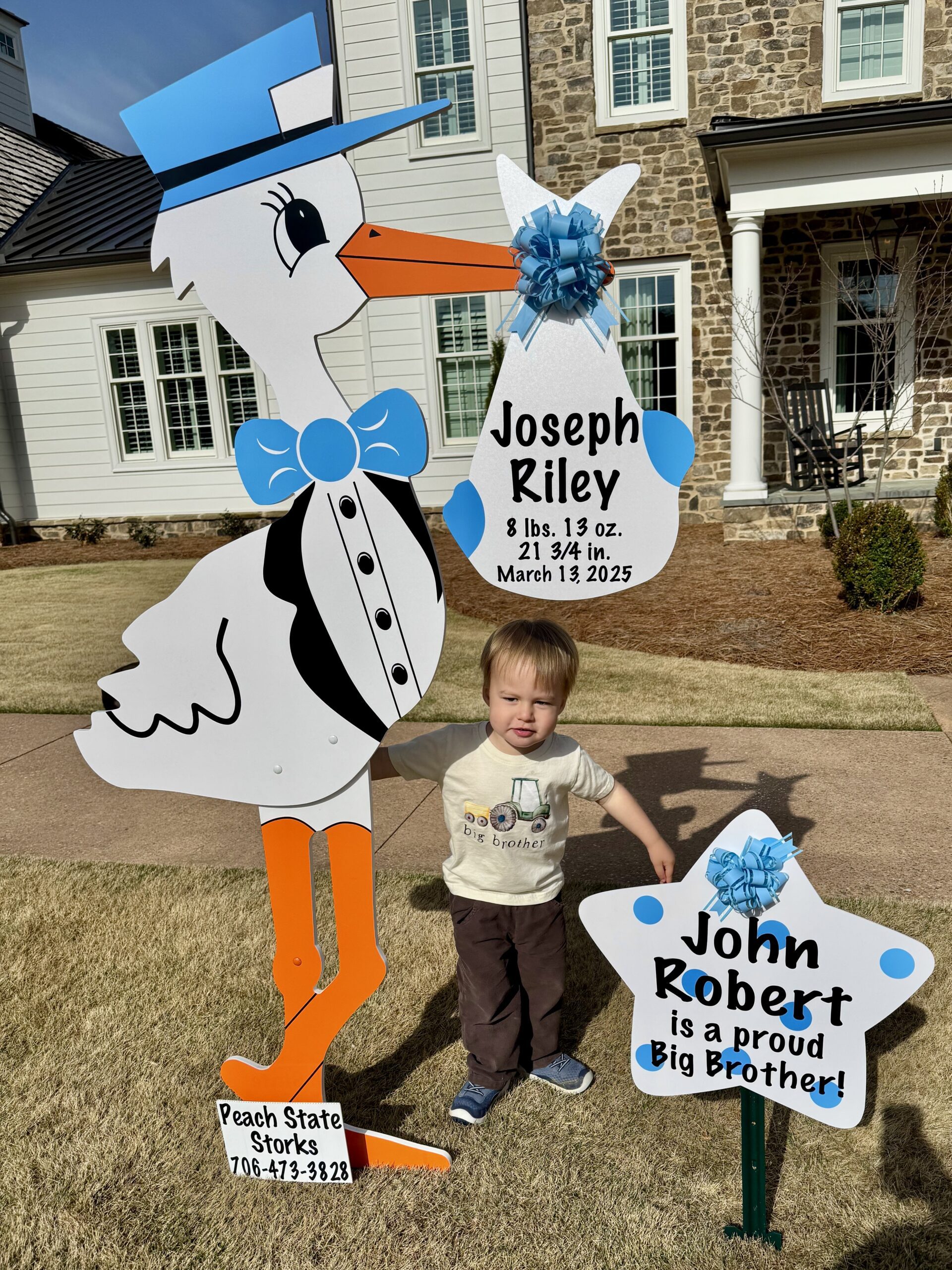 Birth Announcement Stork Sign in Milton, GA