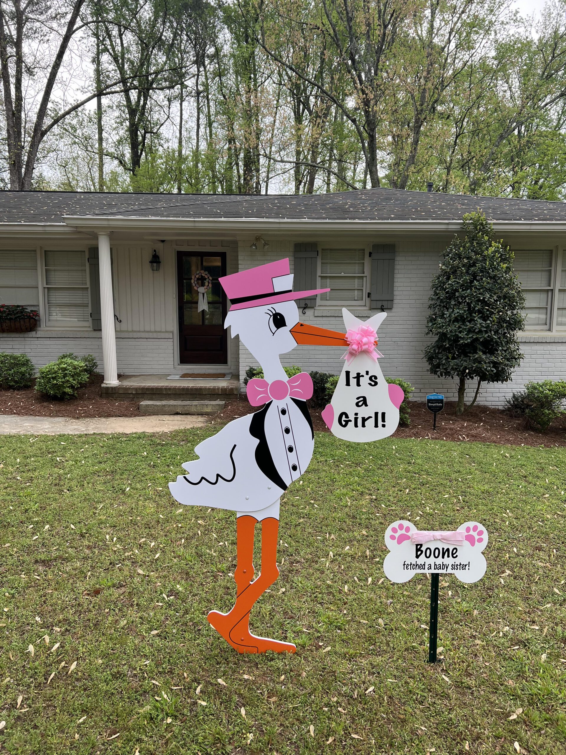 Birth Announcement Stork Sign in Atlanta, GA
