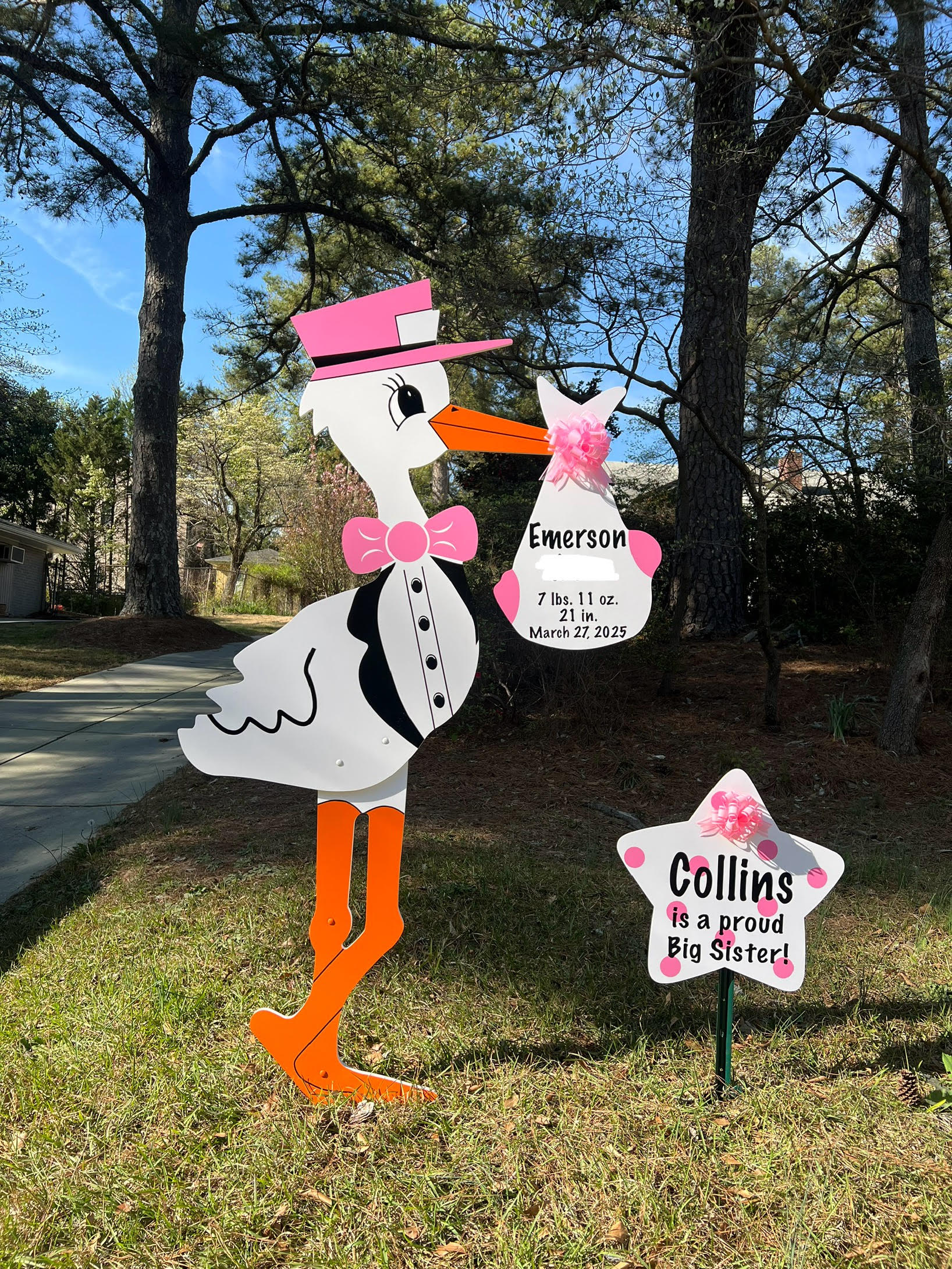 Birth Announcement Stork Sign in Brookhaven, GA