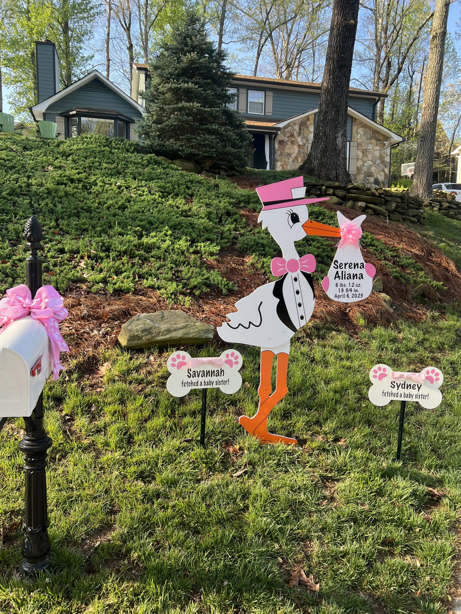 Birth Announcement Stork Sign in Marietta, GA