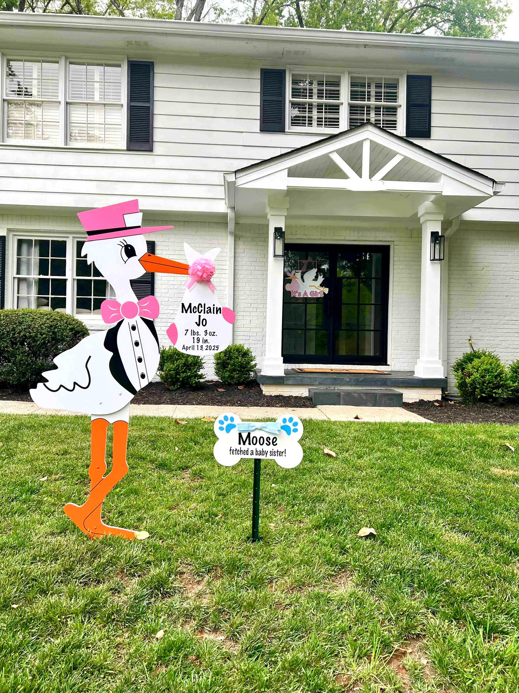 Birth Announcement Stork Sign in Sandy Springs, GA