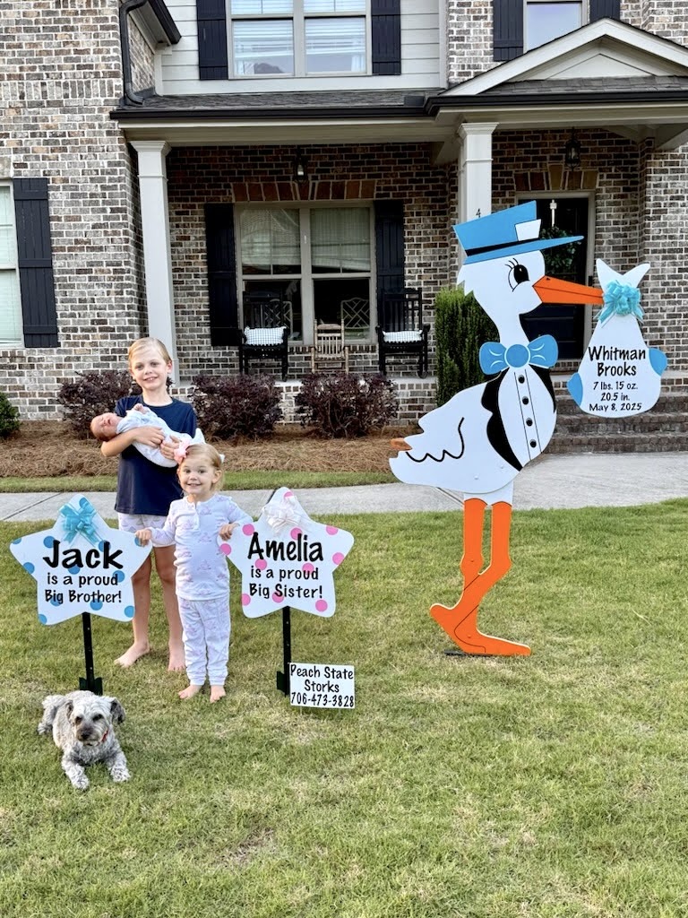 Birth Announcement Stork Sign in Watkinsville, GA
