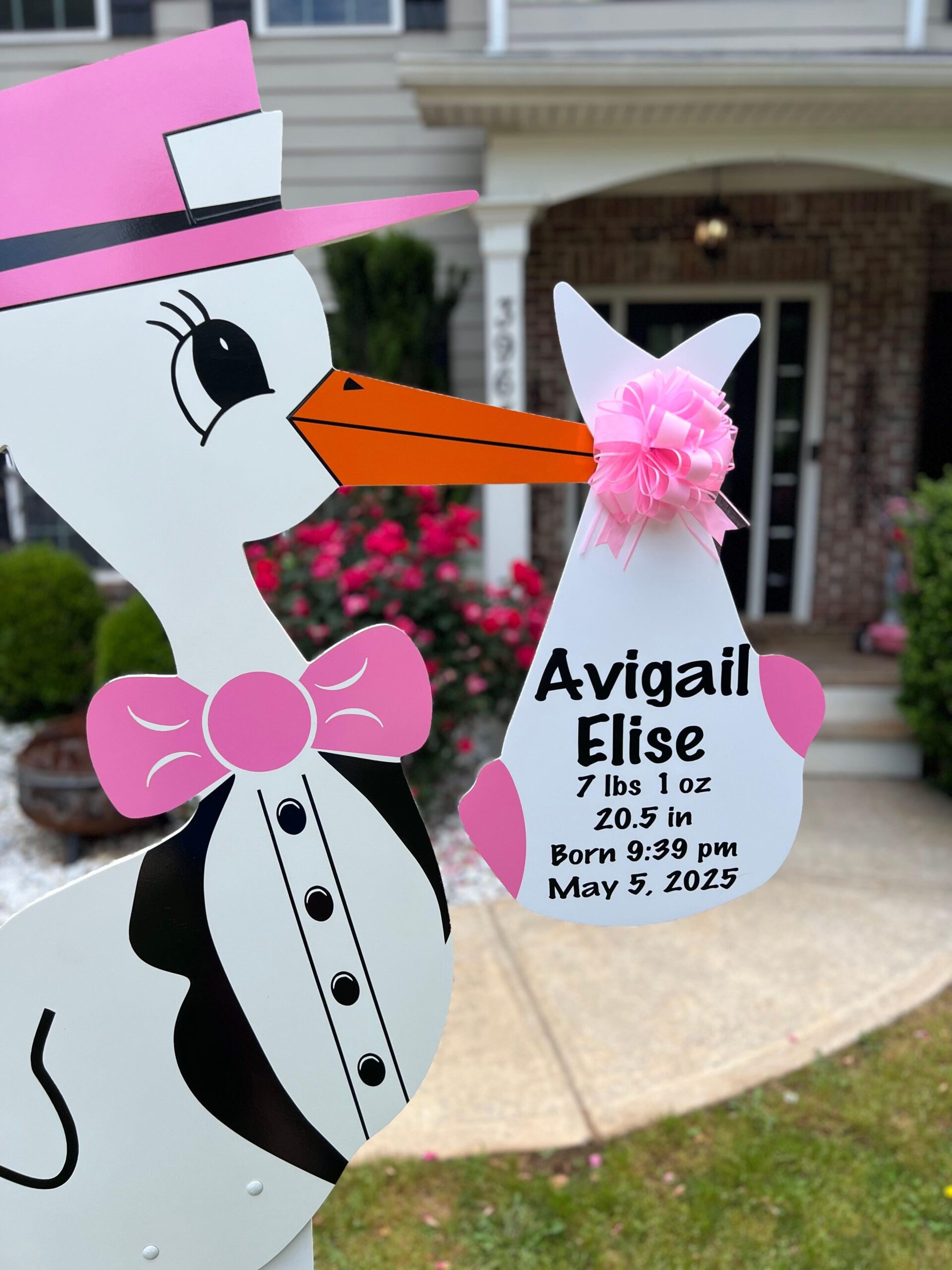 Birth Announcement Stork Sign in Gainesville, GA