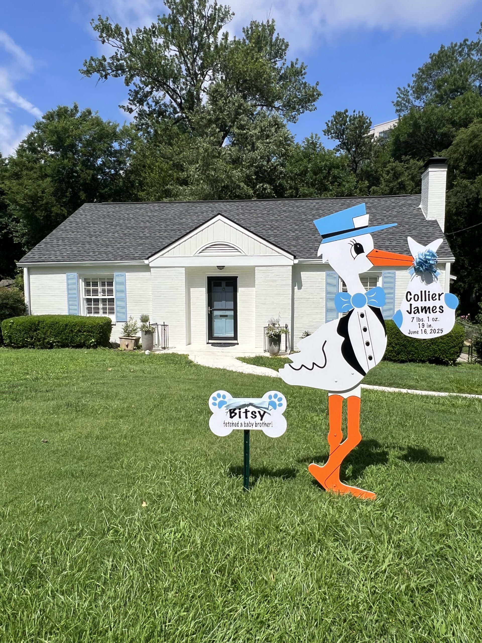 Birth Announcement Stork Sign in Buckhead, Atlanta