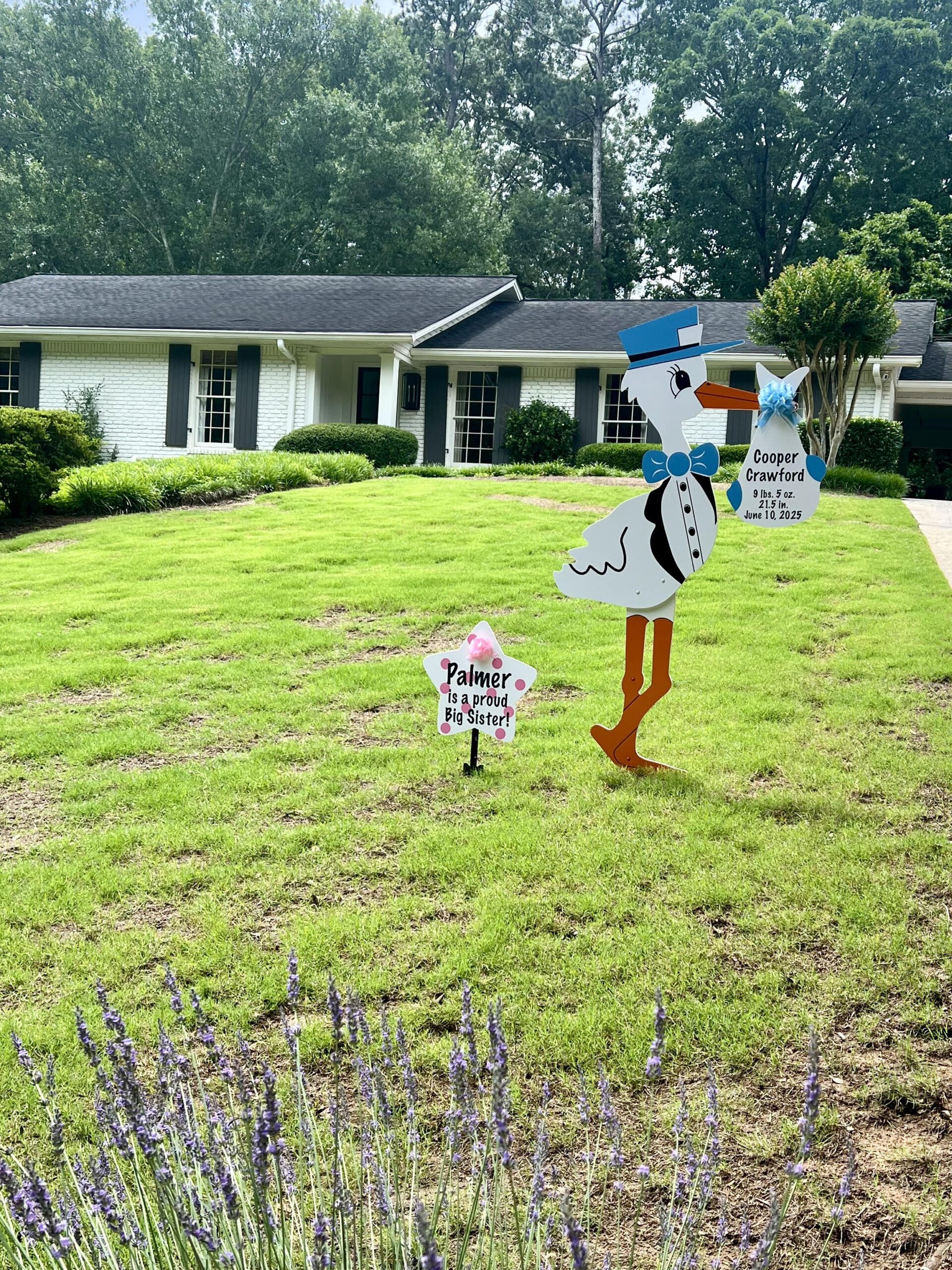 Birth Announcement Stork Sign in Brookhaven, GA