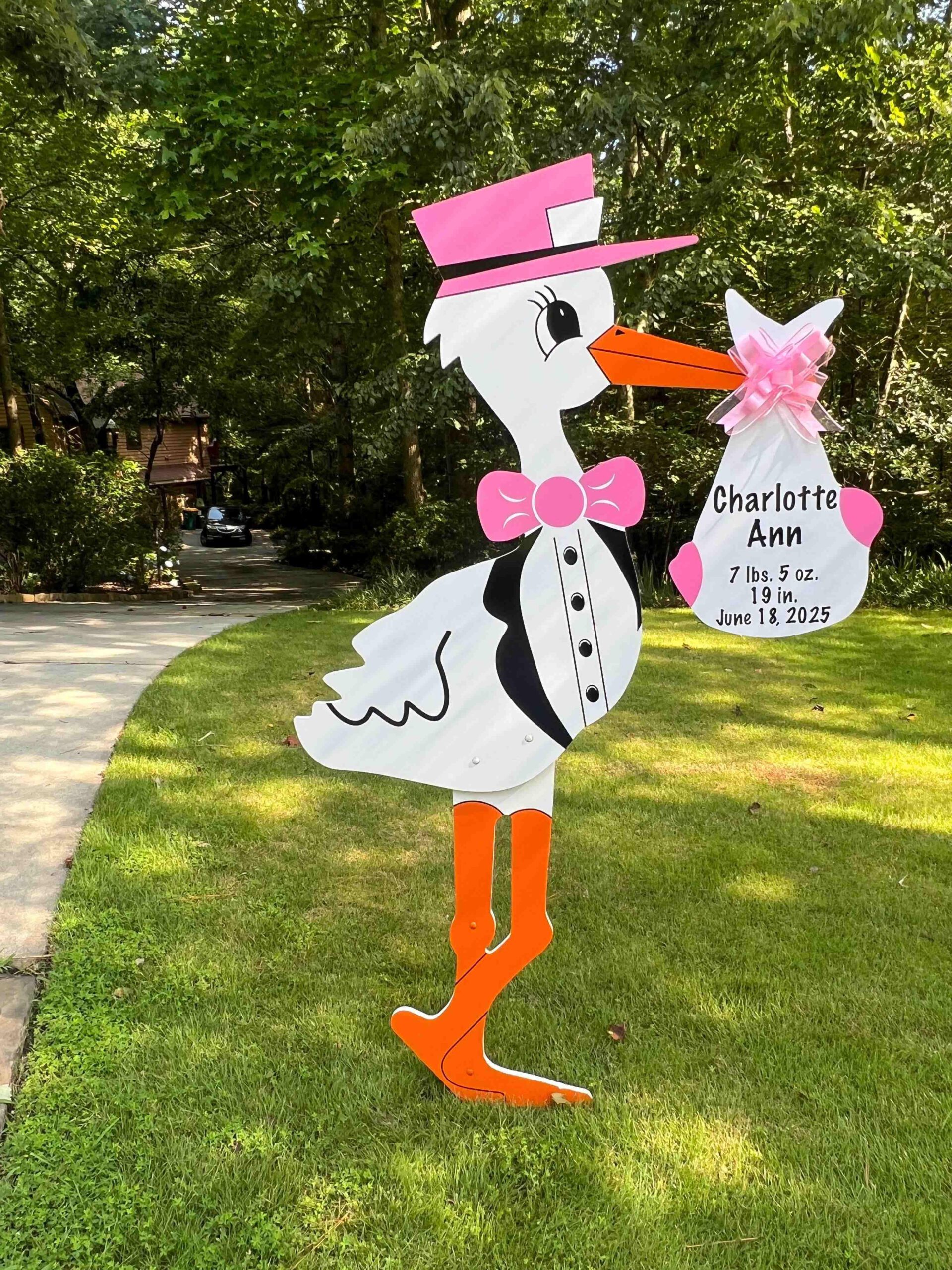 Birth Announcement Stork Sign in Marietta, GA