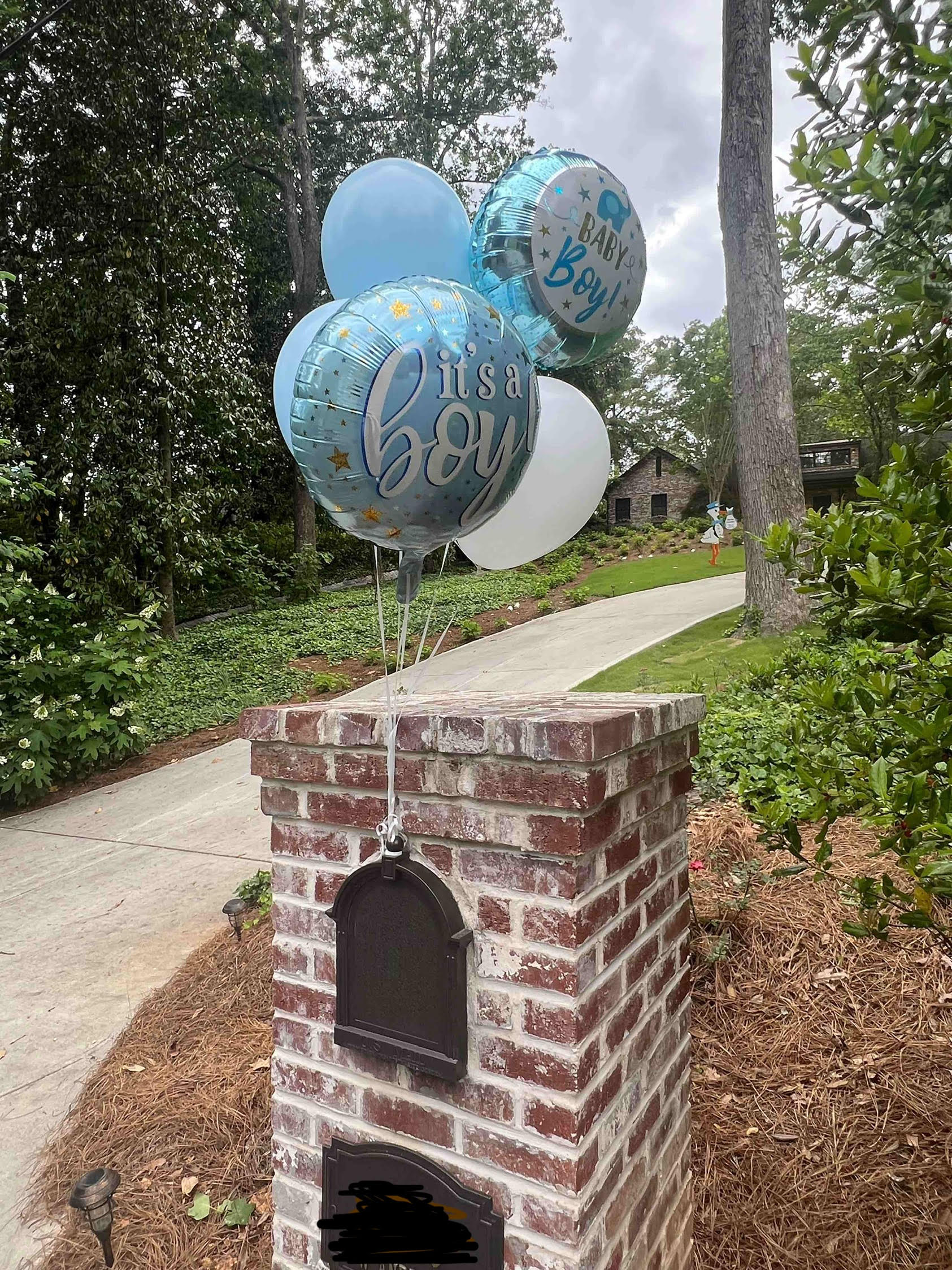 Birth Announcement Stork Sign in Buckhead, Atlanta