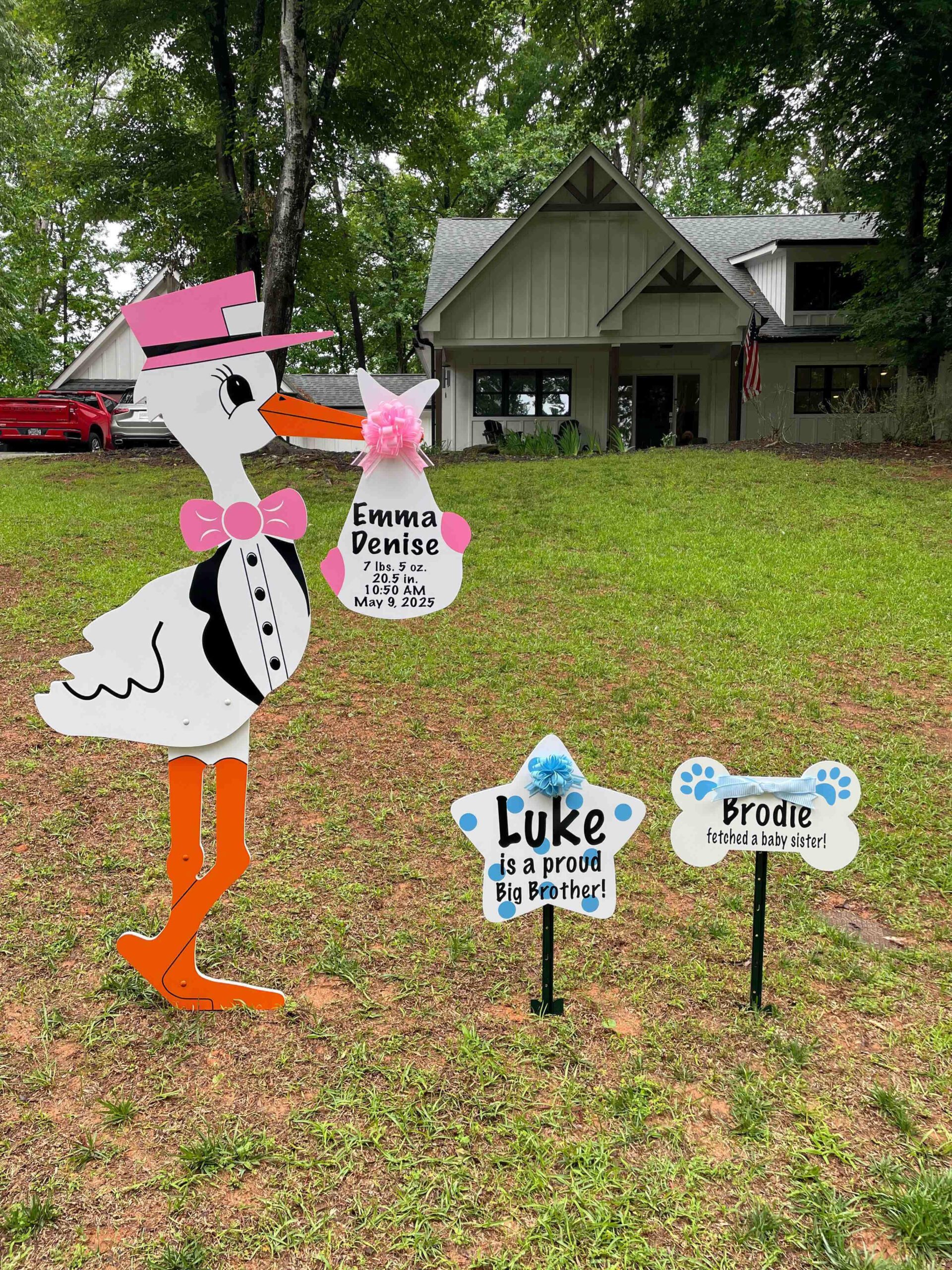 Birth Announcement Stork Sign in Roswell, GA