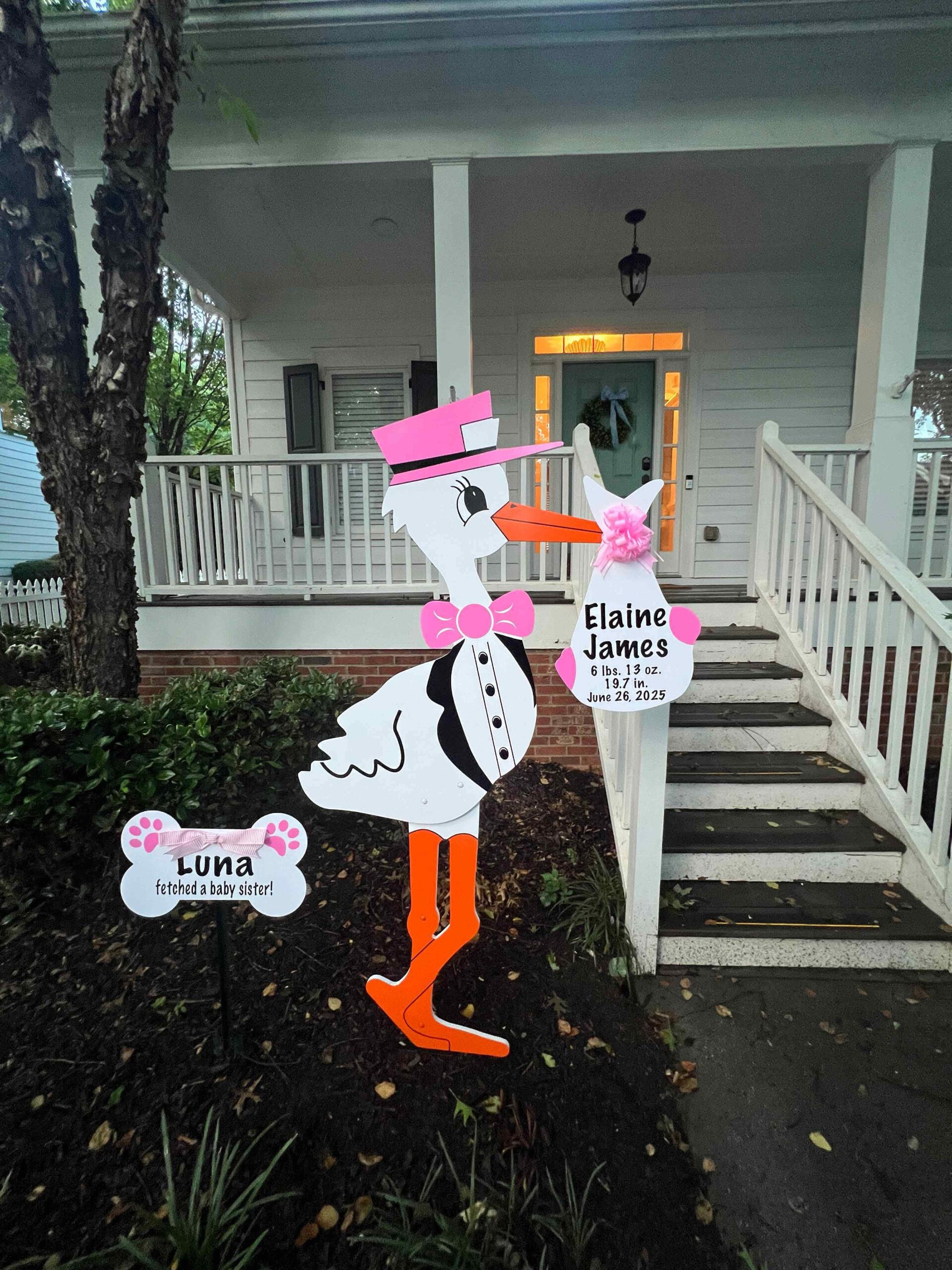 Birth Announcement Stork Sign in Buckhead, Atlanta
