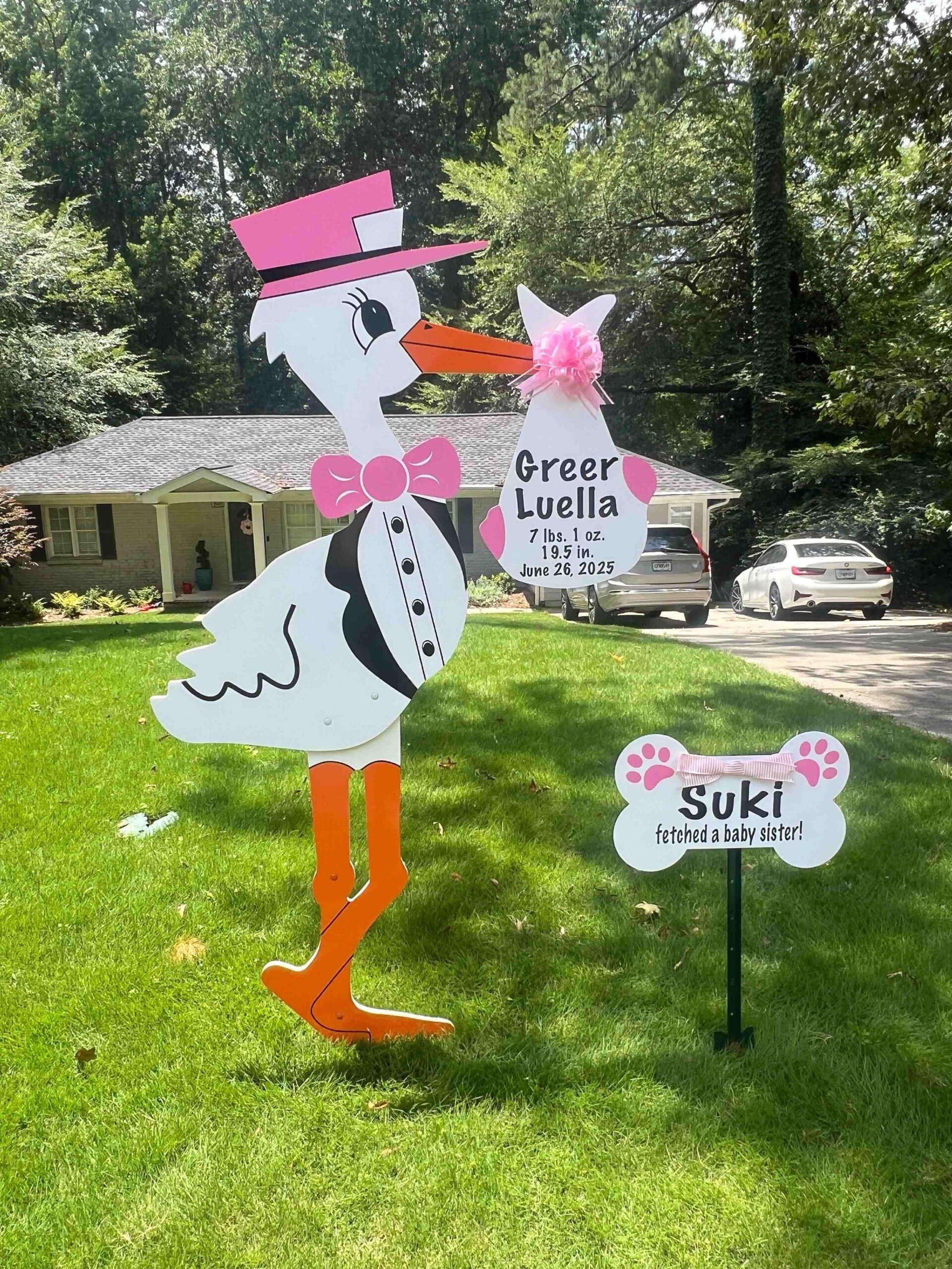 Birth Announcement Stork Sign in Buckhead, Atlanta