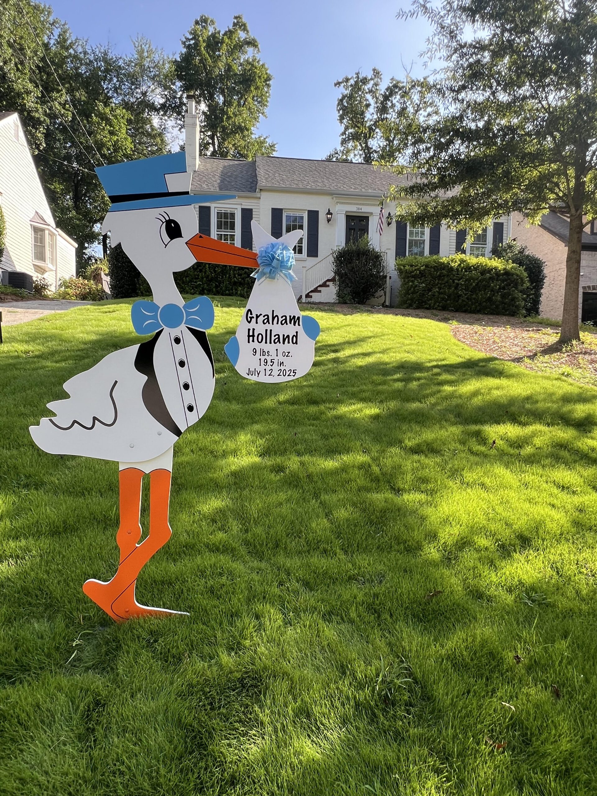 Birth Announcement Stork Sign in Midtown, Atlanta