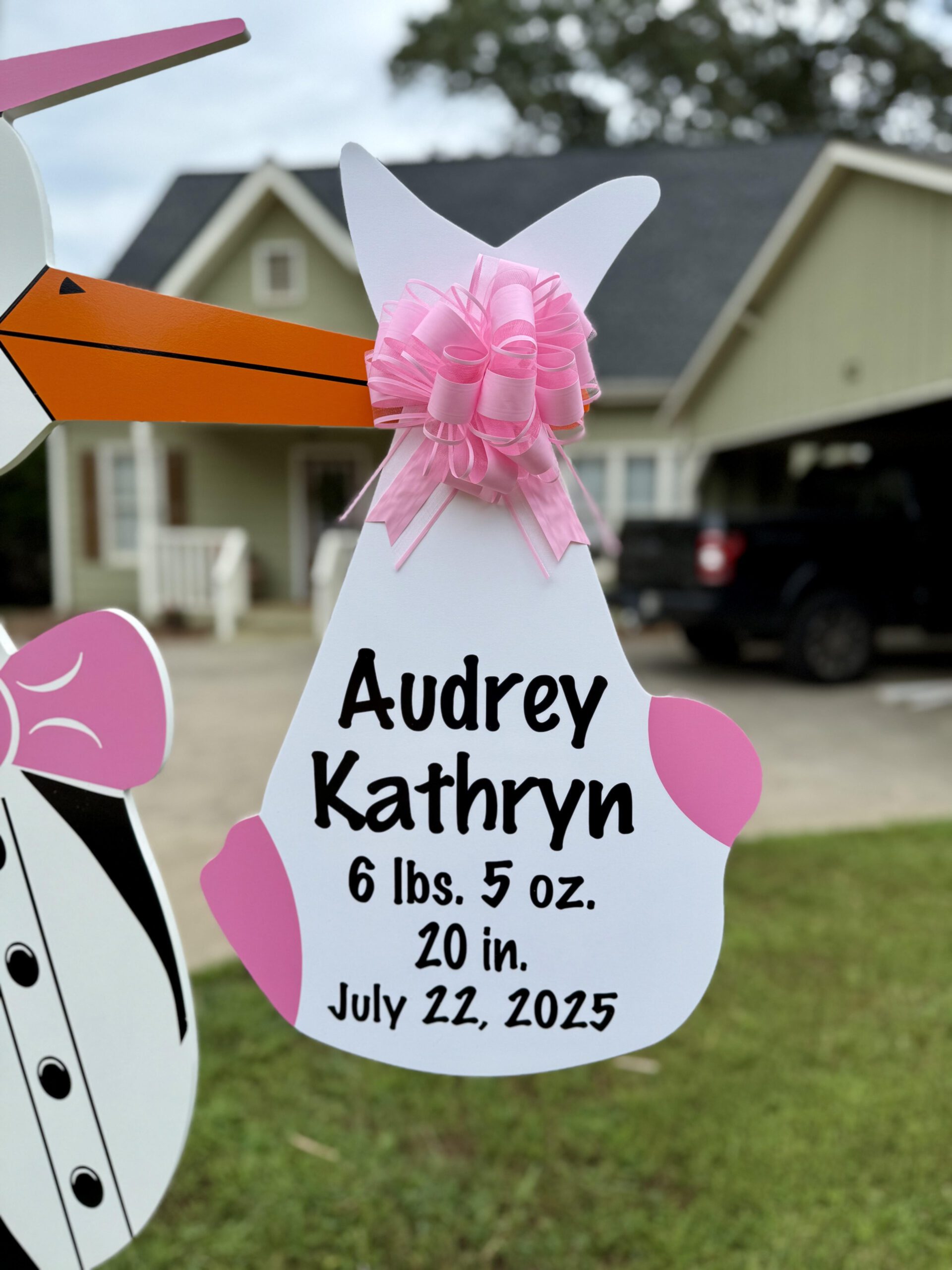 Birth Announcement Stork Sign in Buford, GA