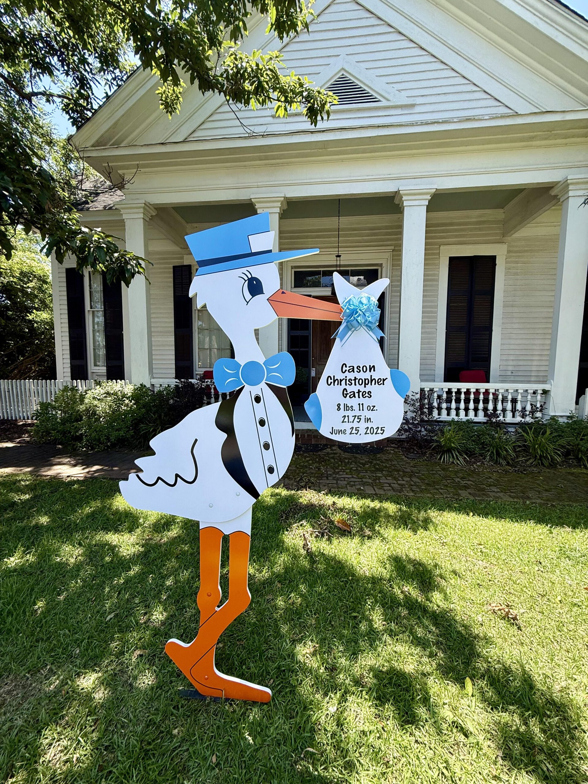 Birth Announcement Stork Sign in Eatonton, GA