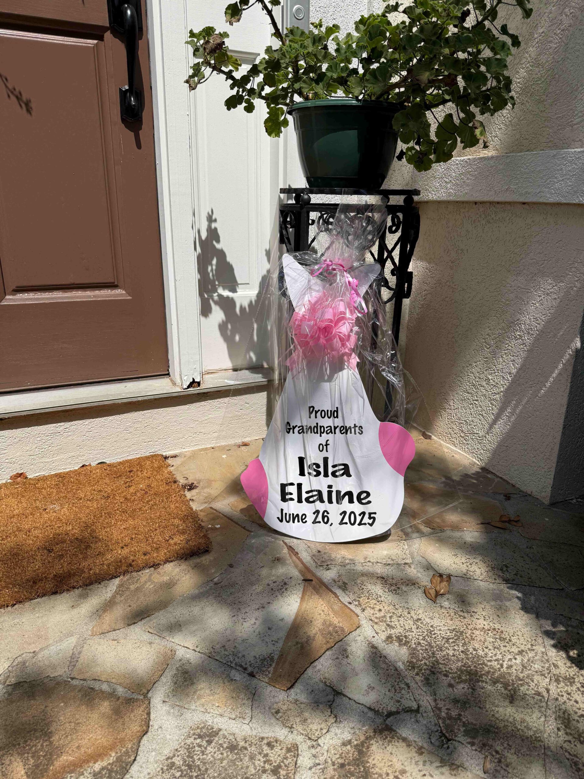 Birth Announcement Stork Sign in Dacula, GA