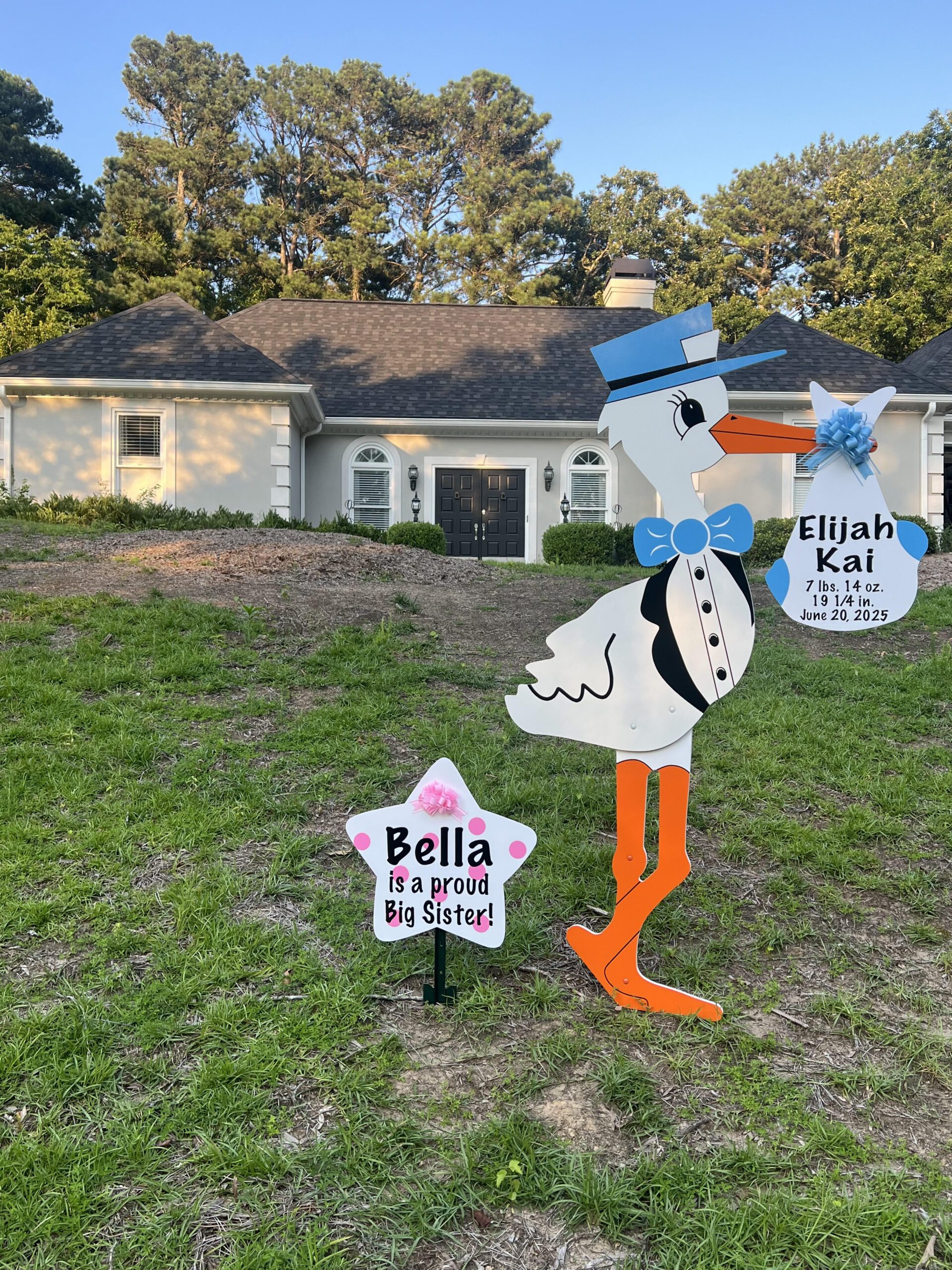 Birth Announcement Stork Sign in Woodstock, GA