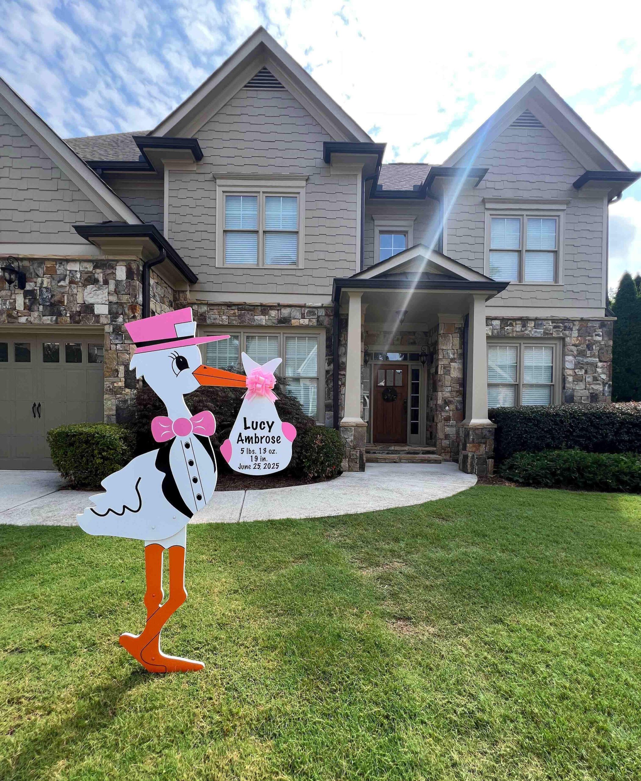 Birth Announcement Stork Sign in Sandy Springs, GA