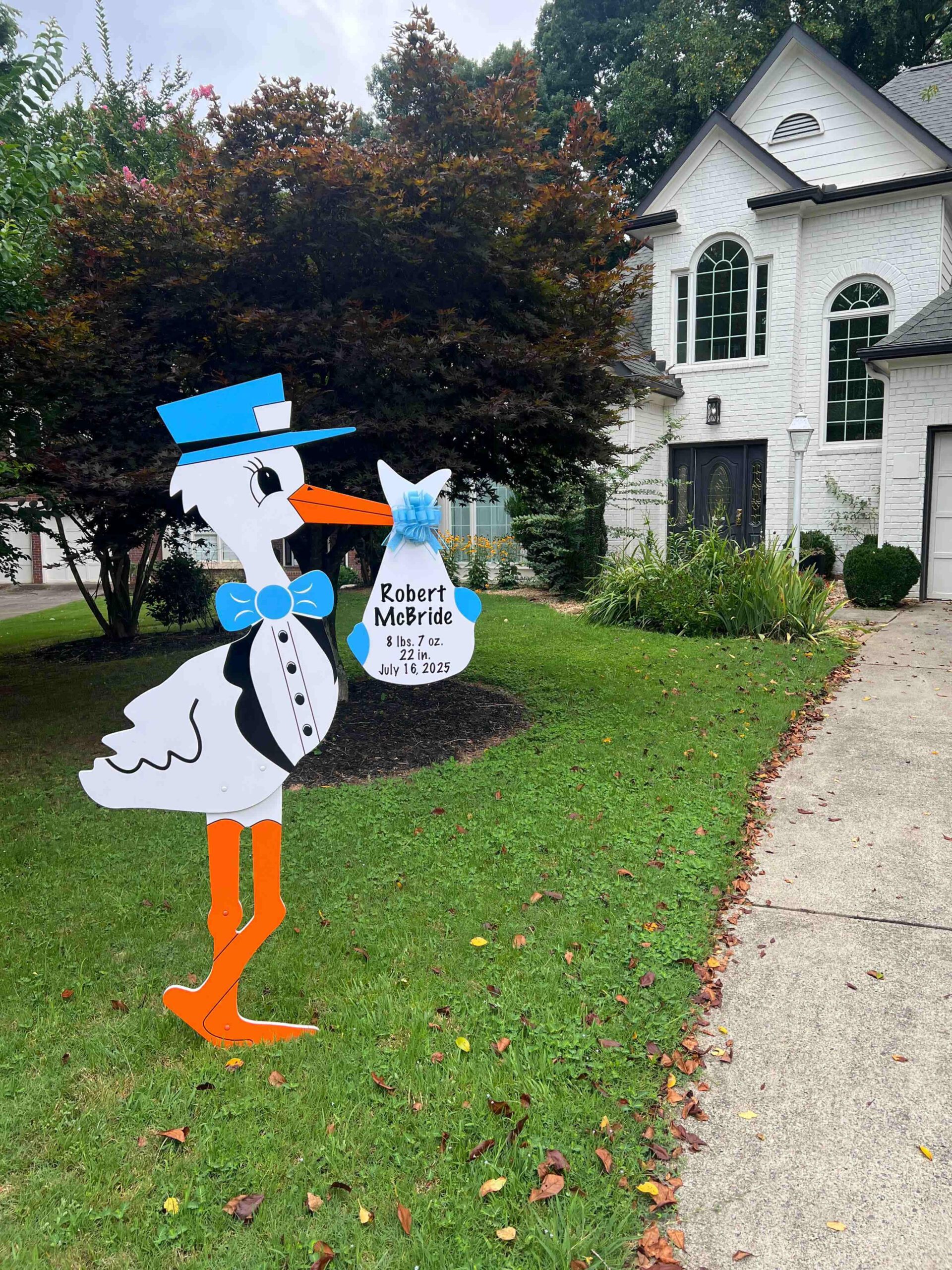Birth Announcement Stork Sign in Sandy Springs, GA