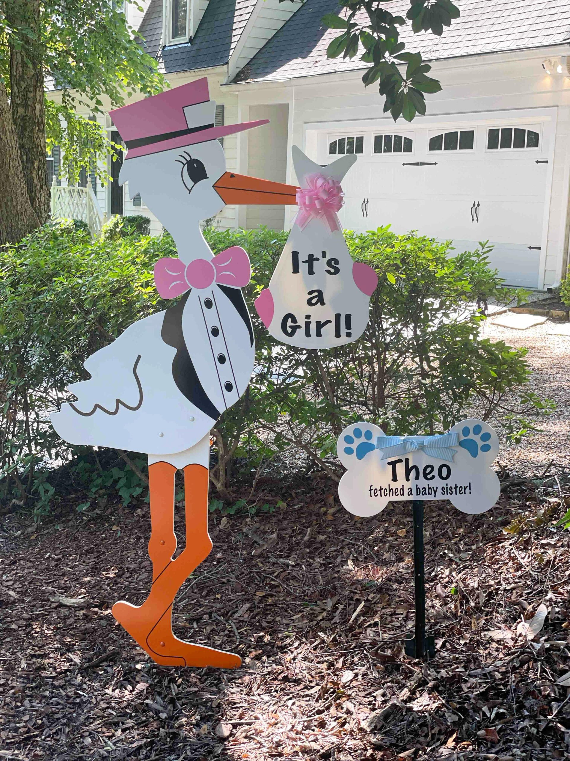 Birth Announcement Stork Sign in Buckhead, Atlanta