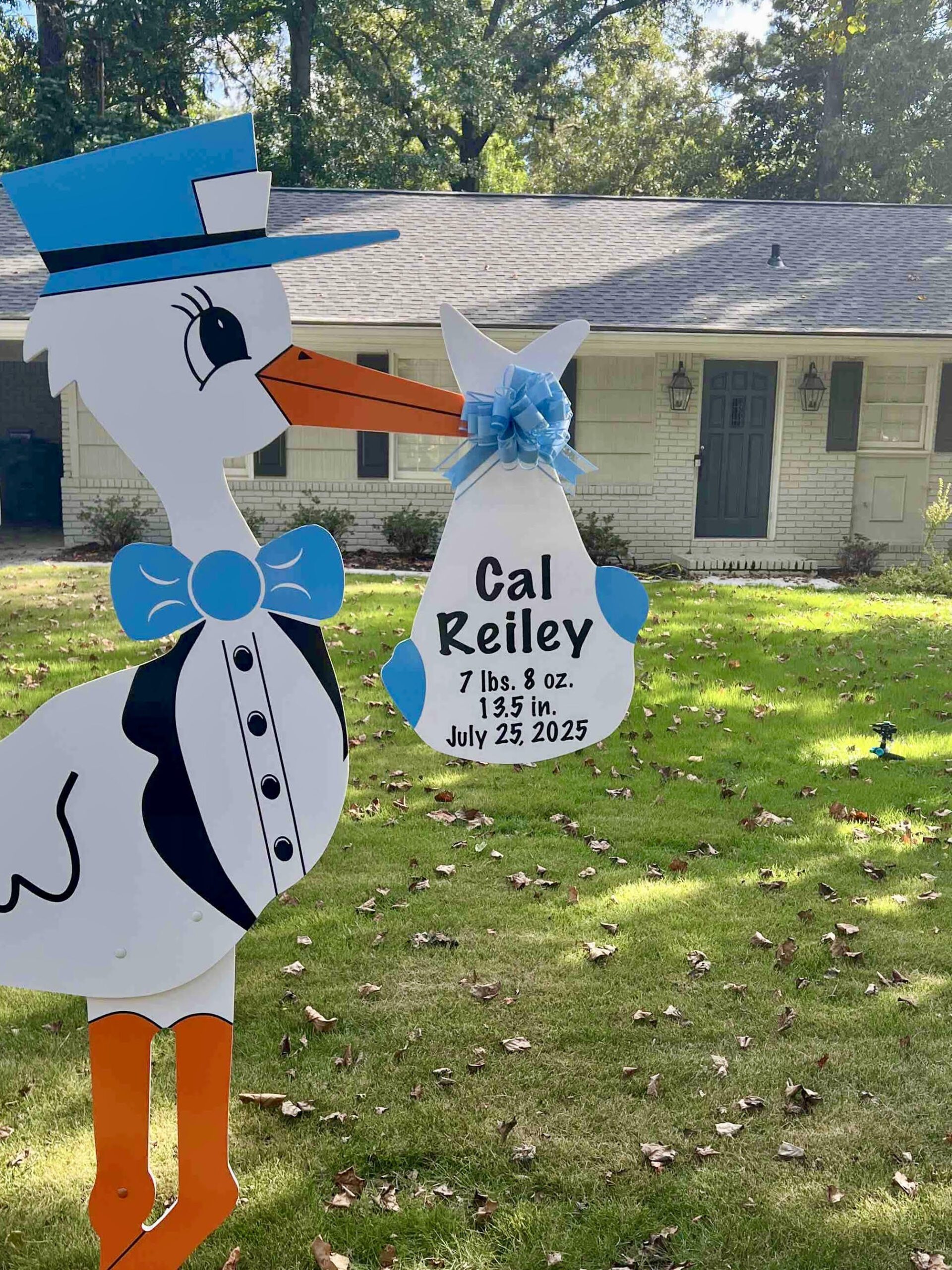 Birth Announcement Stork Sign in Midtown, Atlanta
