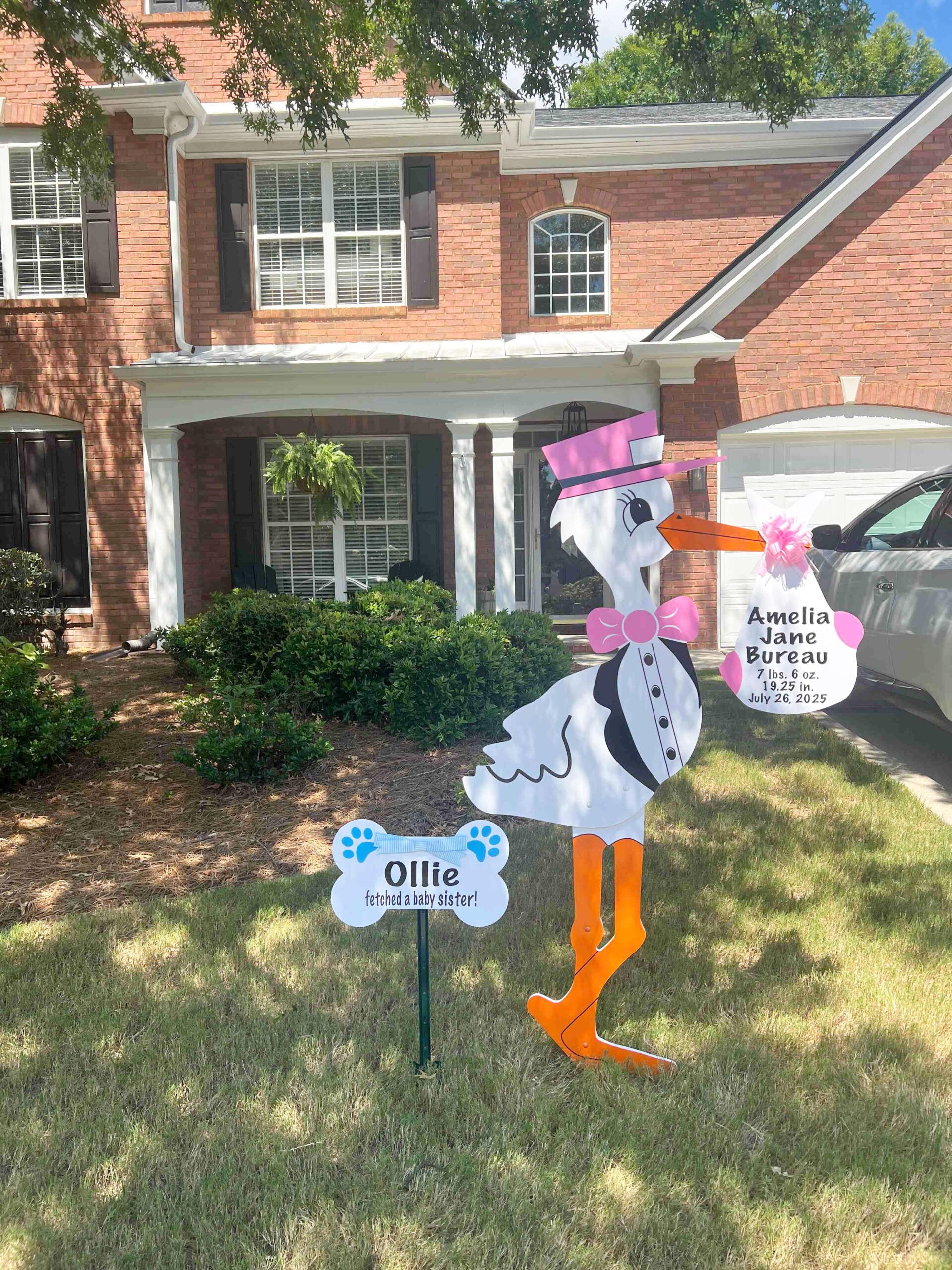 Birth Announcement Stork Sign in Vinings, GA