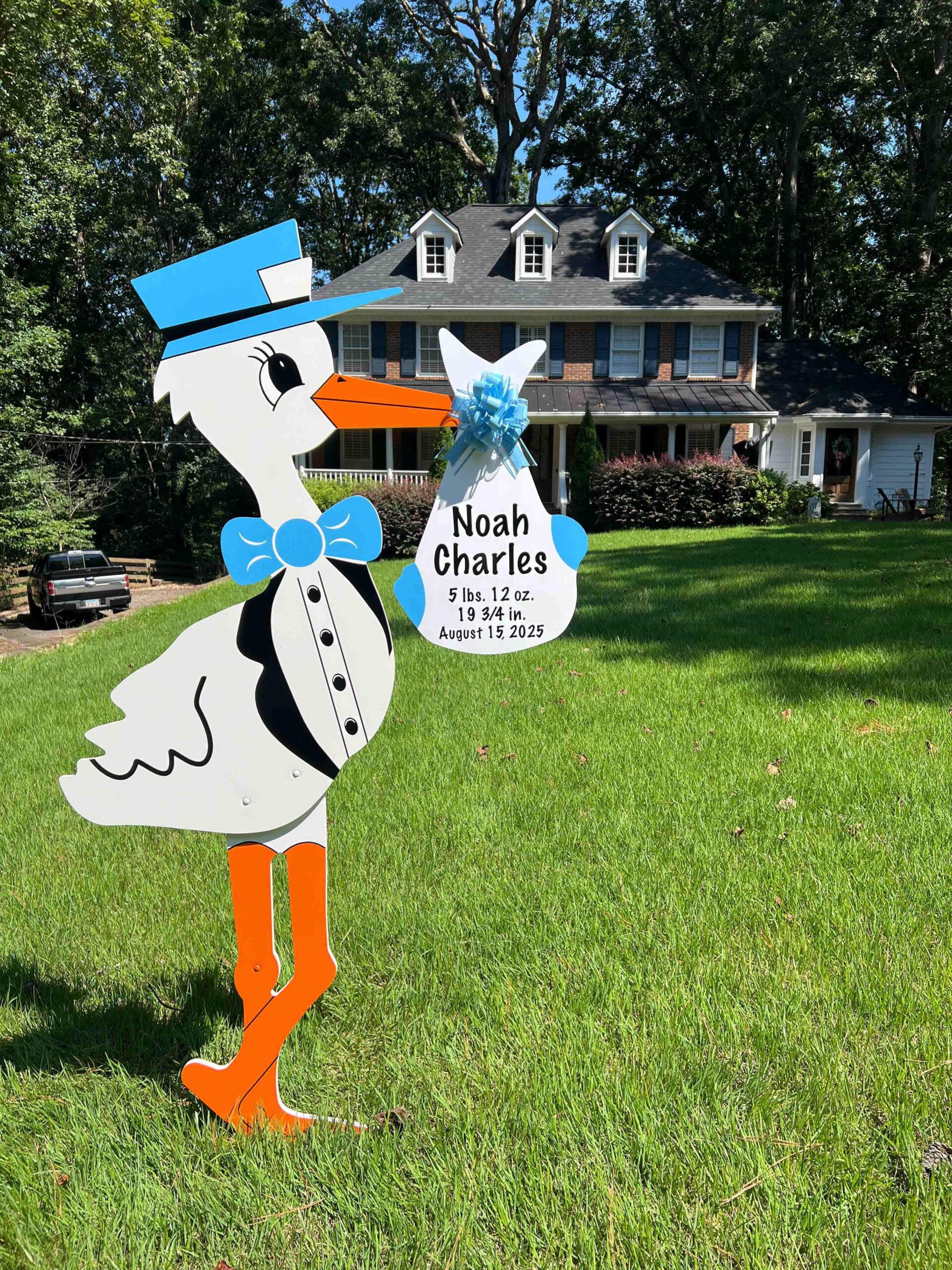 Birth Announcement Stork Sign in Roswell, GA