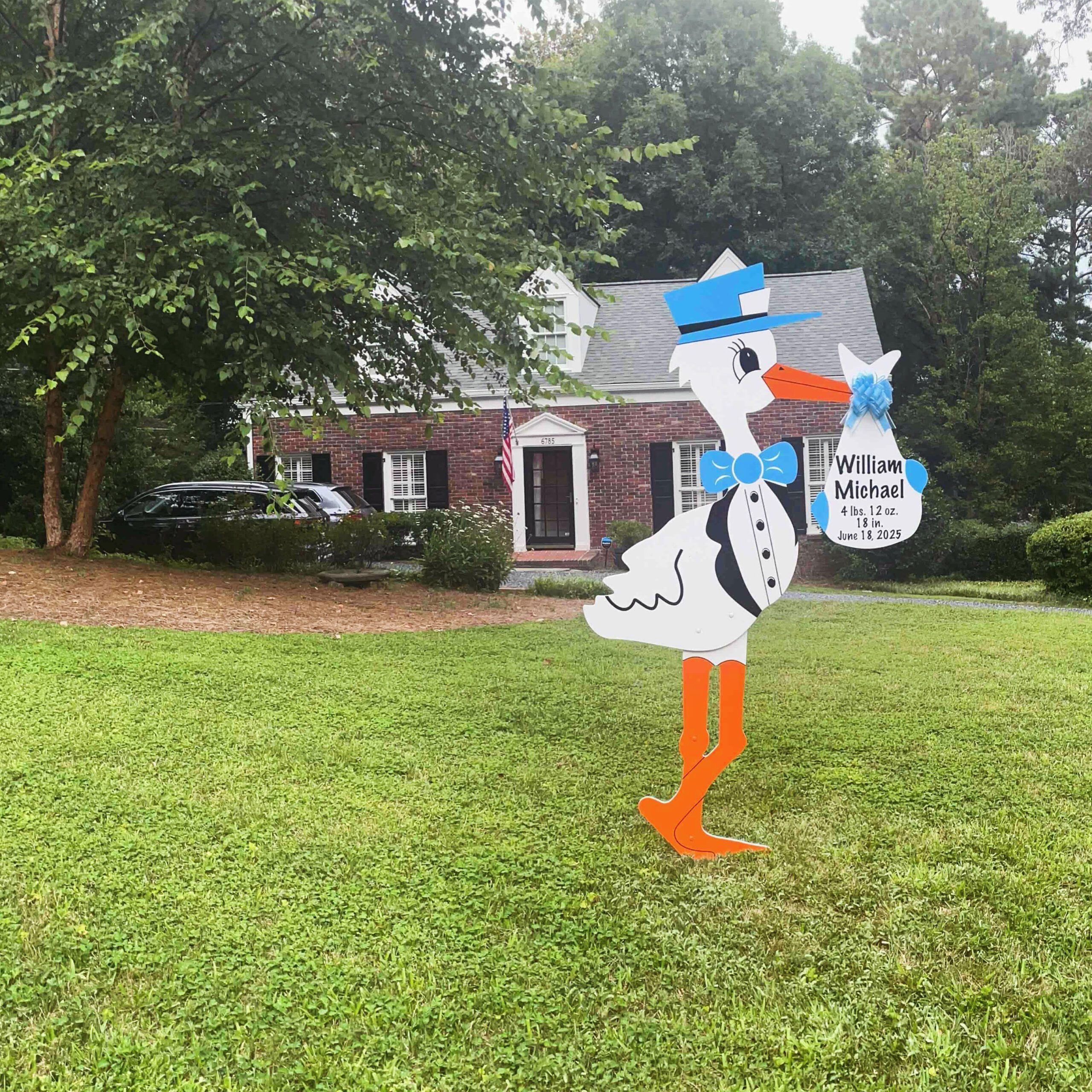 Birth Announcement Stork Sign in Sandy Springs, GA