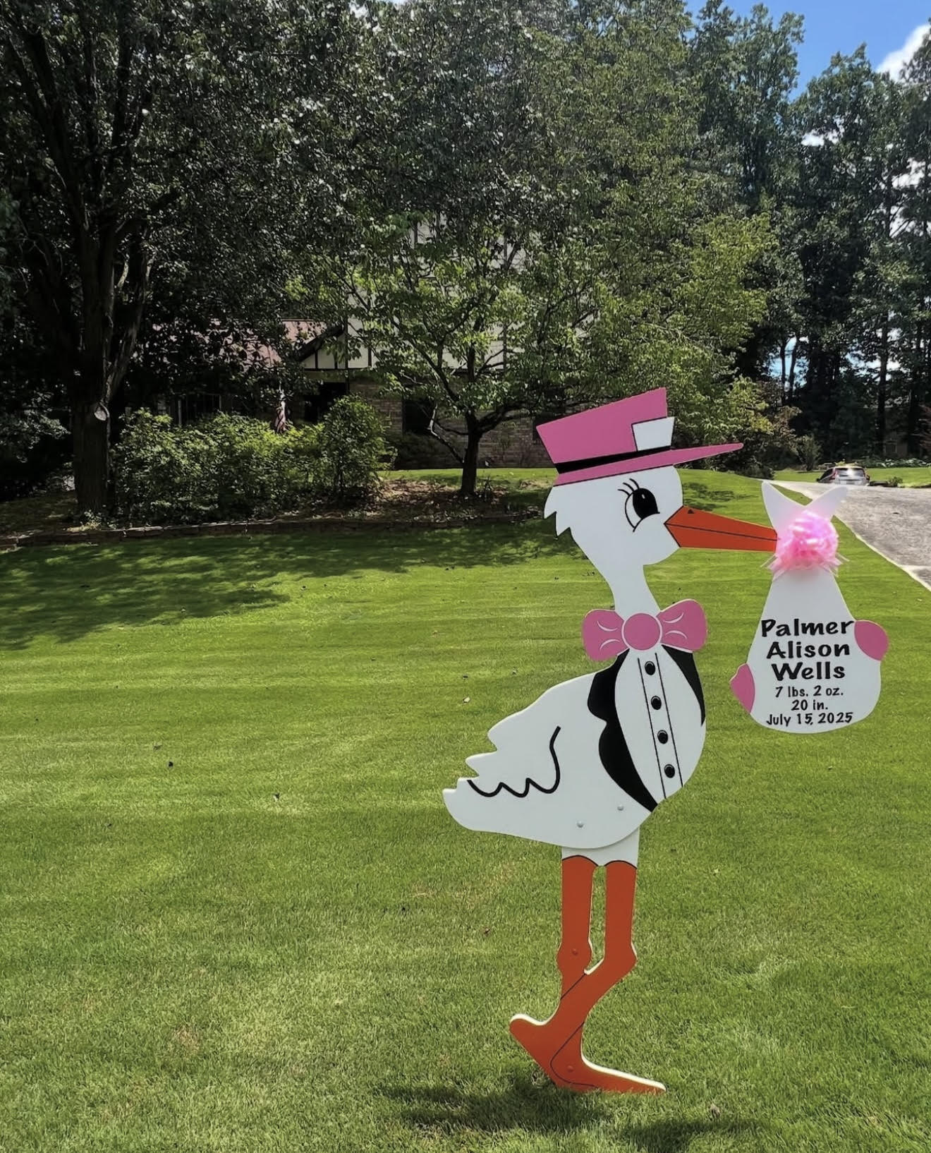 Birth Announcement Stork Sign in Roswell, GA
