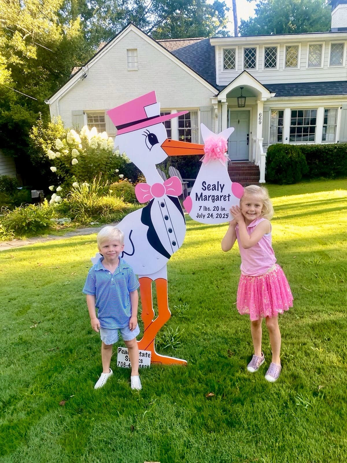 Birth Announcement Stork Sign in Sandy Springs, GA