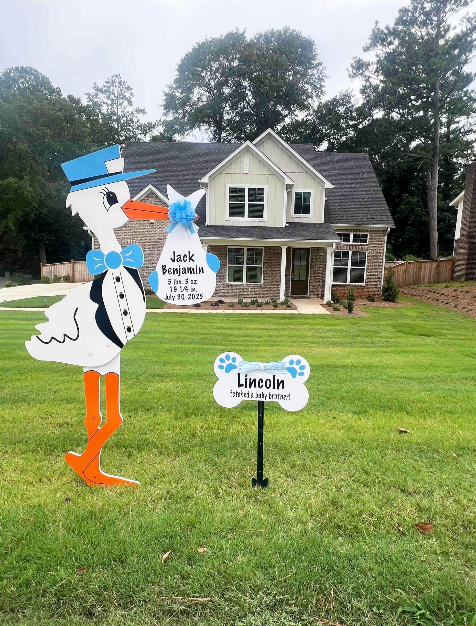 Birth Announcement Stork Sign in Roswell, GA