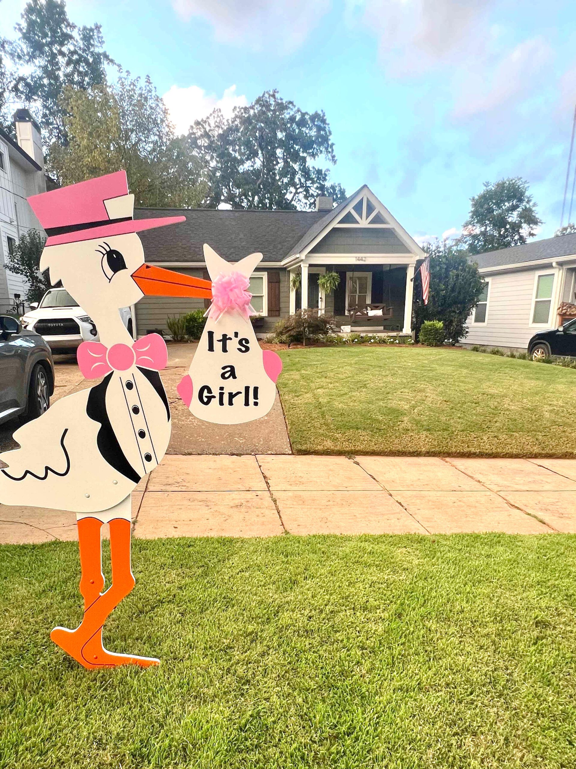 Birth Announcement Stork Sign in Edgewood, GA