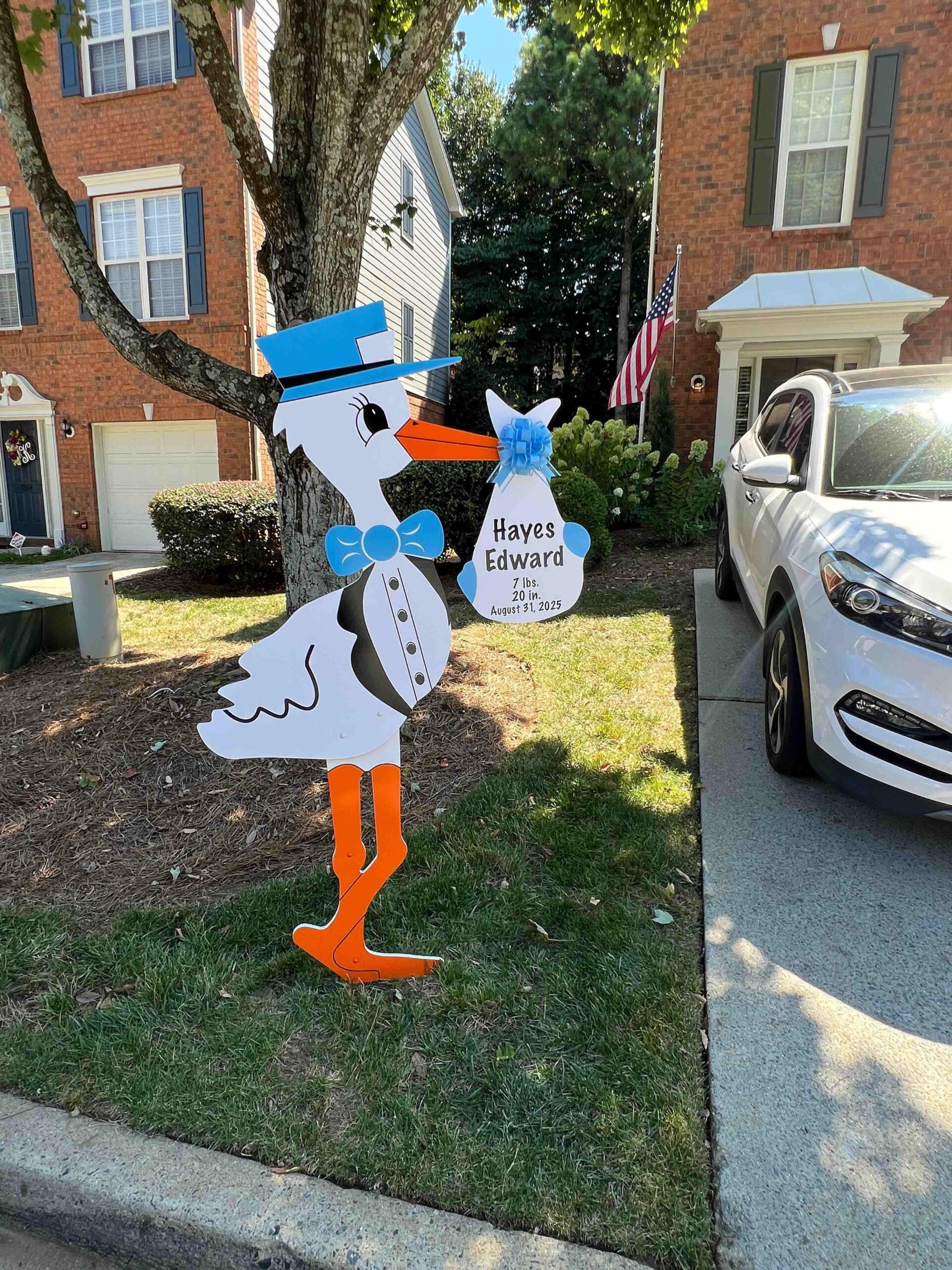 Birth Announcement Stork Sign in Norcross, GA