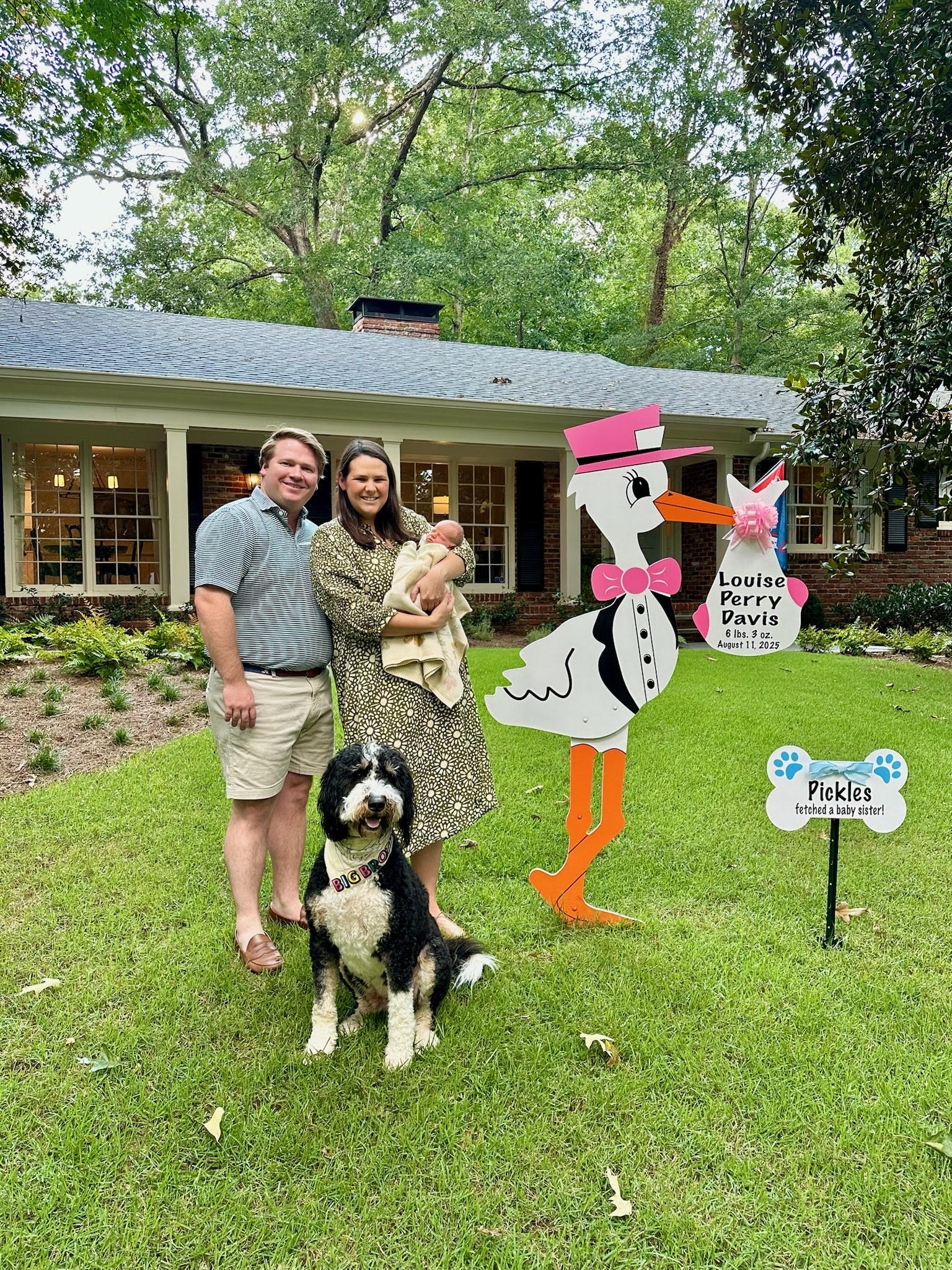Birth Announcement Stork Sign in Atlanta, GA