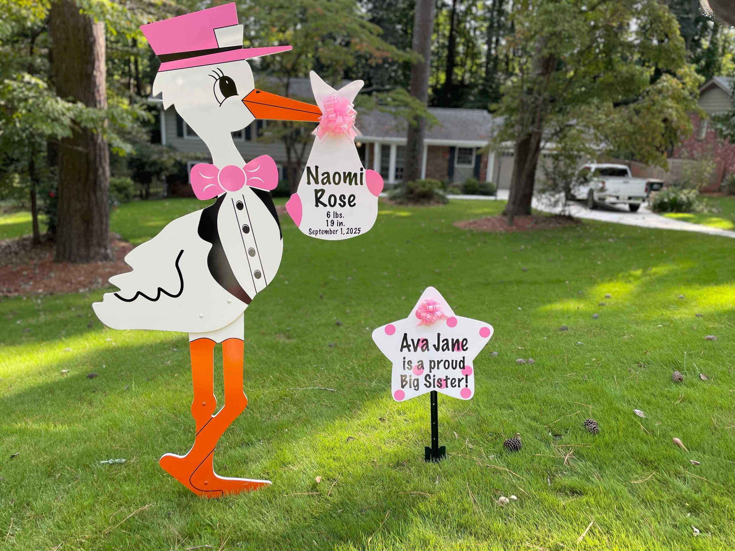 Birth Announcement Stork Sign in Sandy Springs, GA