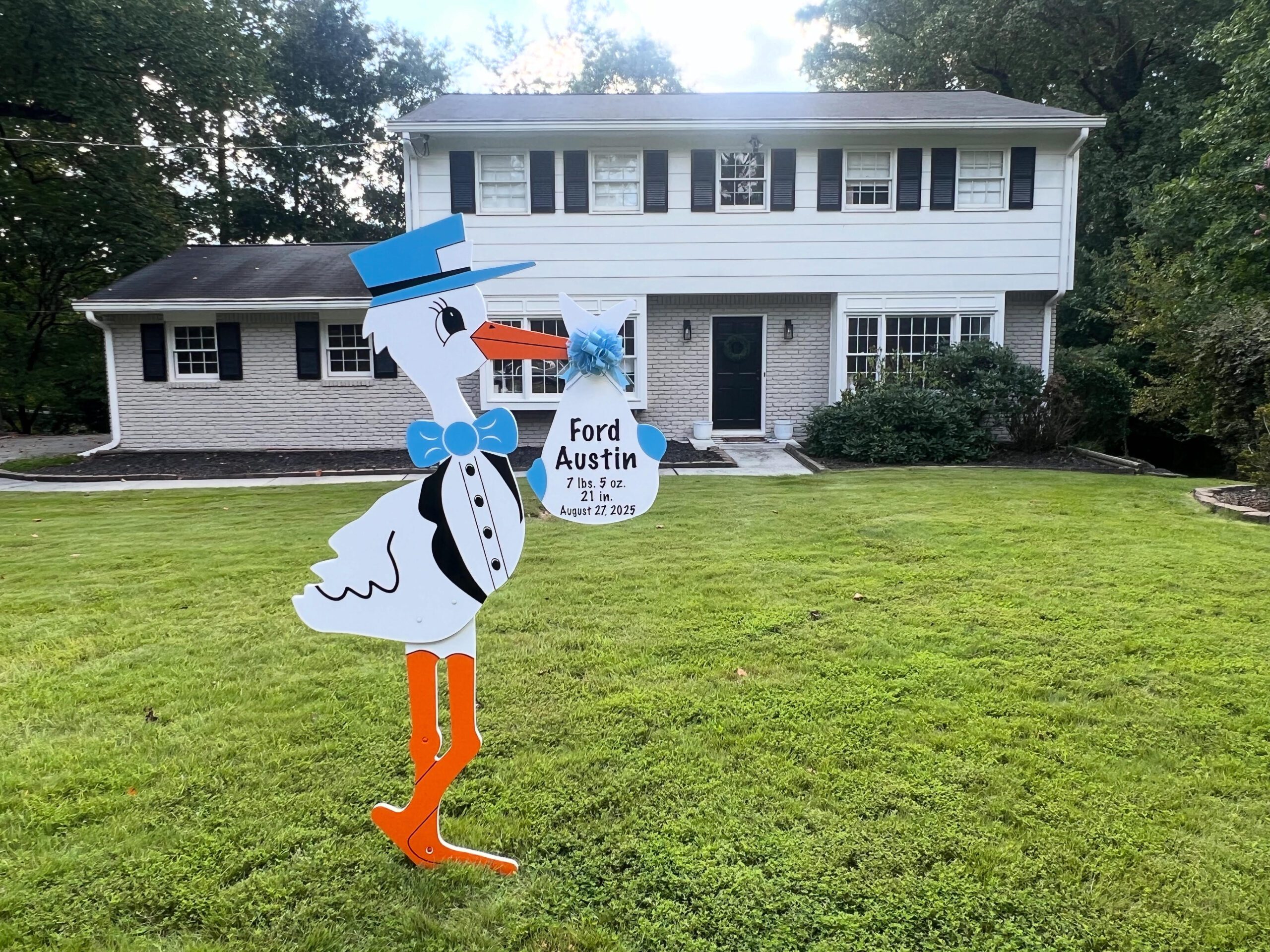 Birth Announcement Stork Sign in Dunwoody, GA