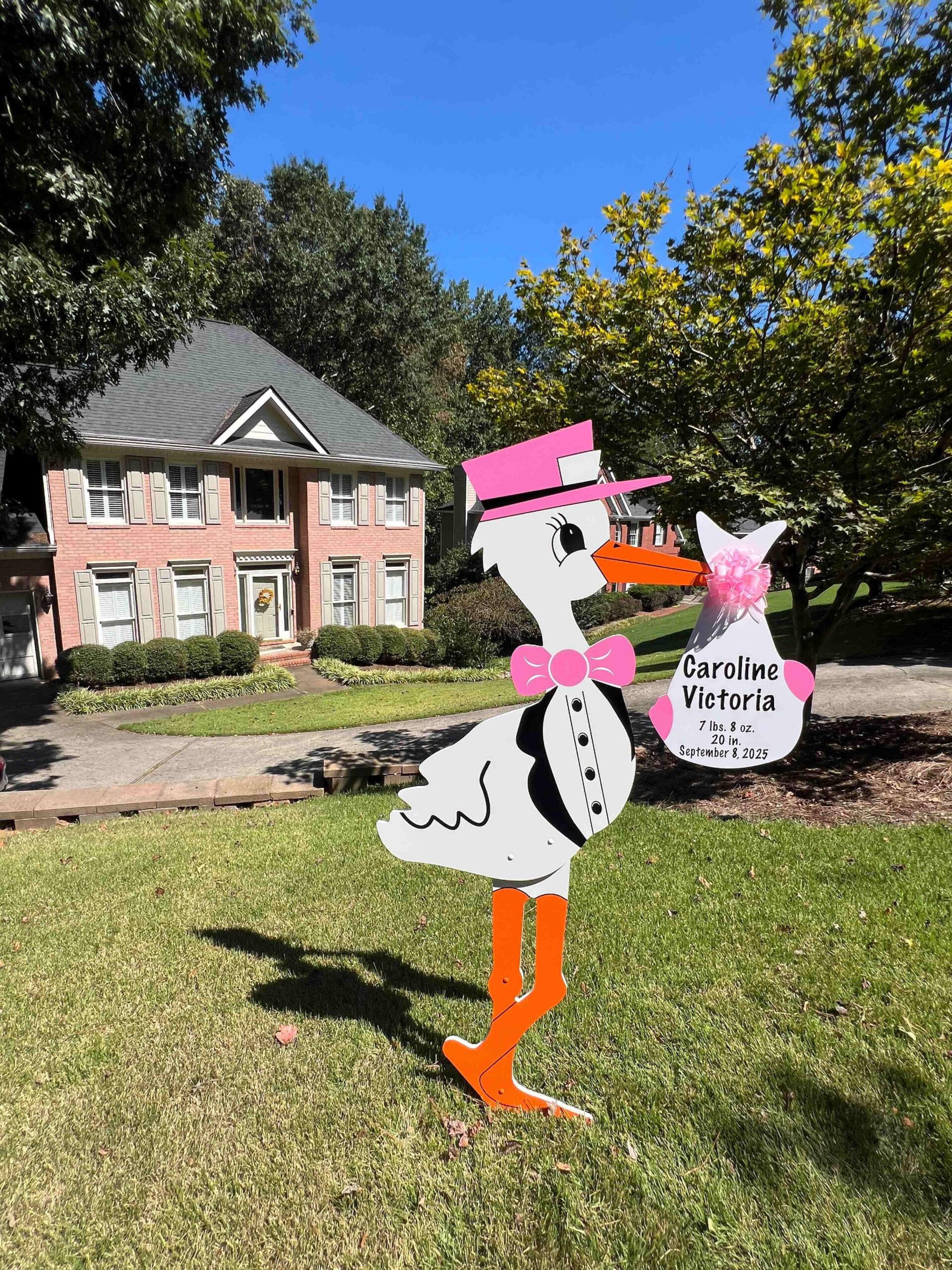 Birth Announcement Stork Sign in Roswell, GA