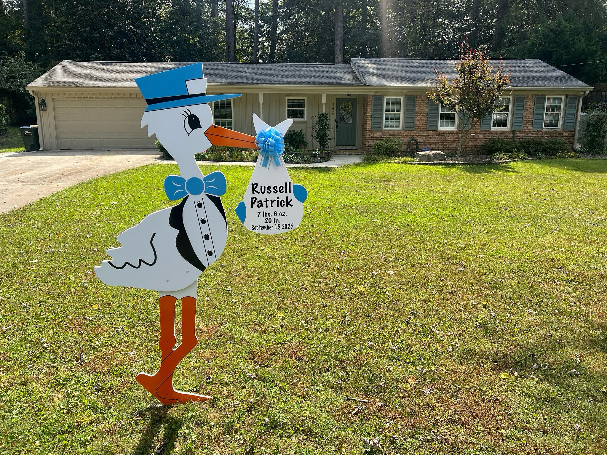Birth Announcement Stork Sign in Atlanta, GA