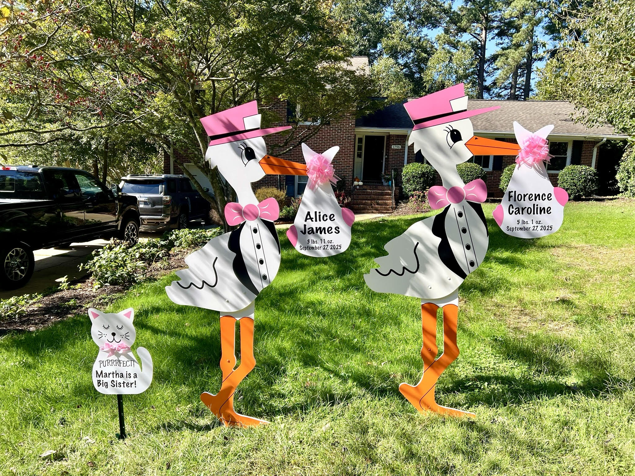 Birth Announcement Stork Sign in North Druid Hills, Atlanta