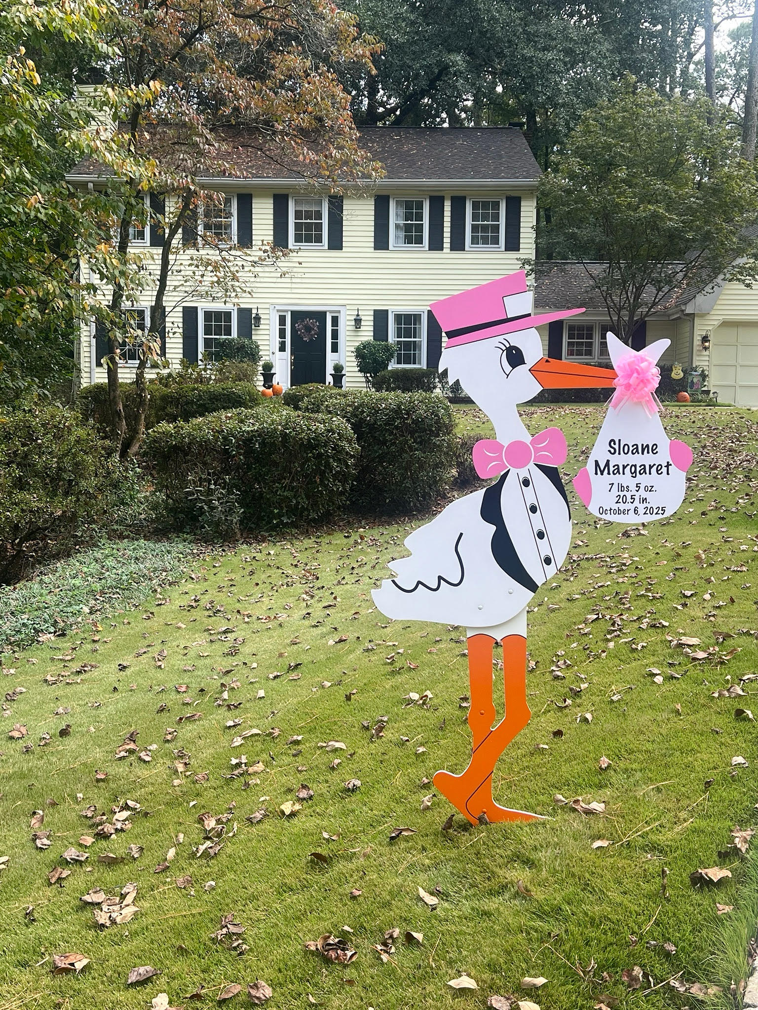 Birth Announcement Stork Sign in Sandy Springs, GA