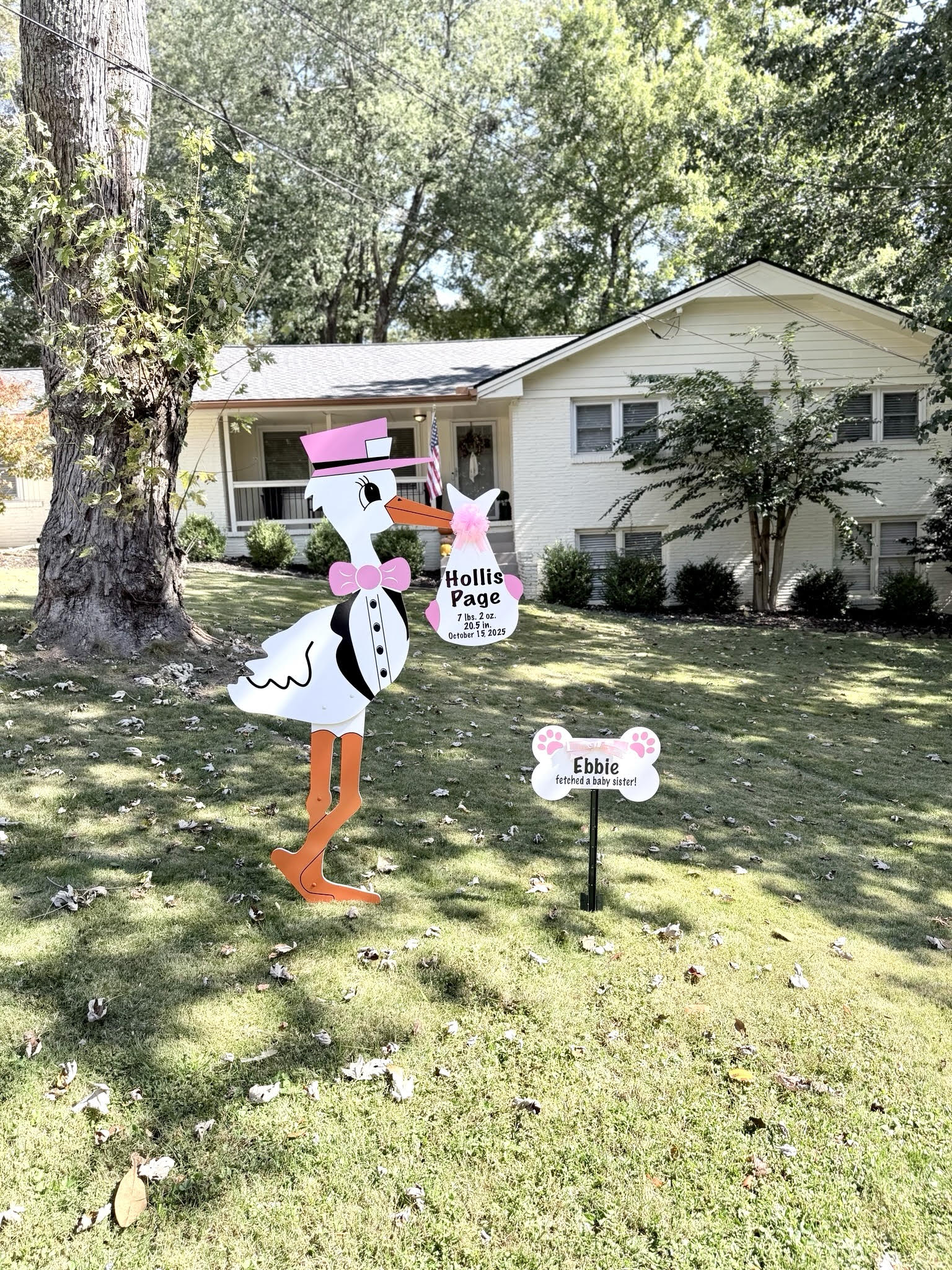 Birth Announcement Stork Sign in Brookhaven, Atlanta GA
