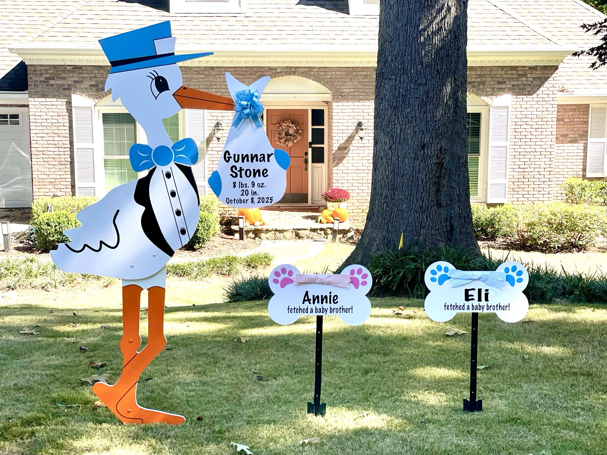 Birth Announcement Stork Sign in Marietta, GA