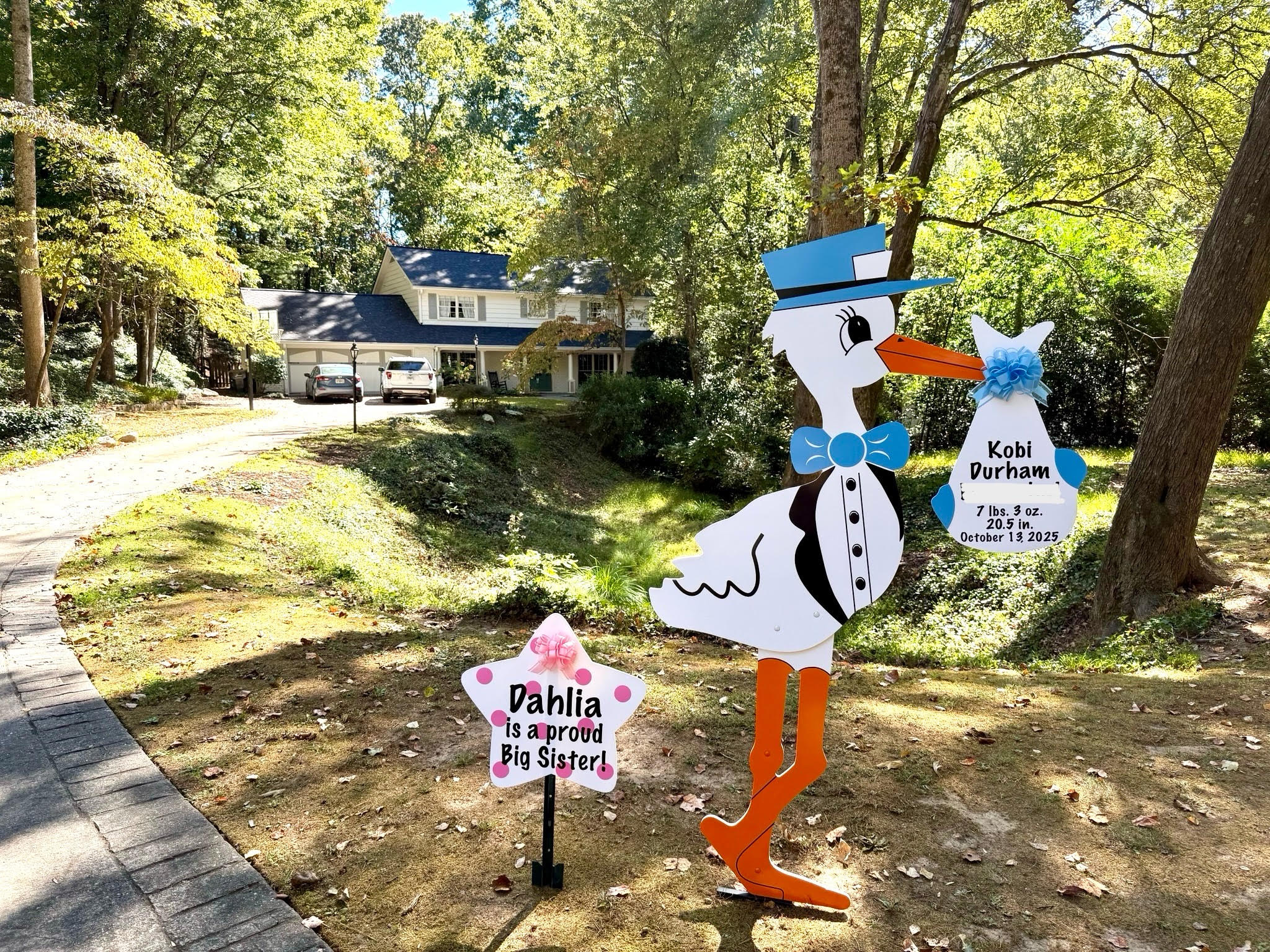 Birth Announcement Stork Sign in Sandy Springs, GA