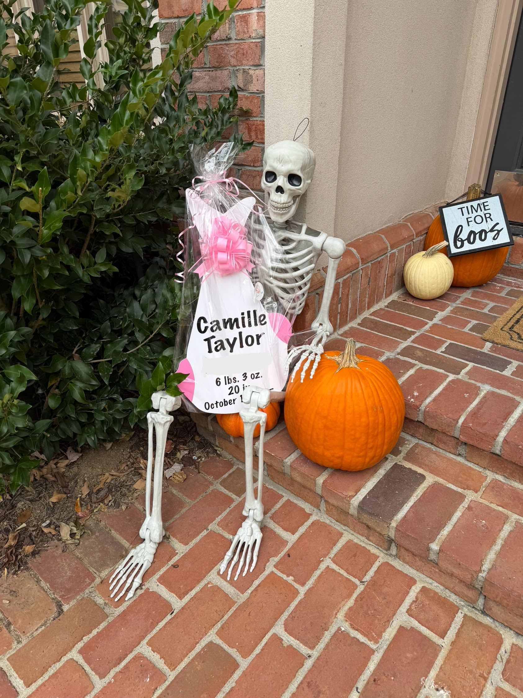 Birth Announcement Stork Sign in Midtown, Atlanta