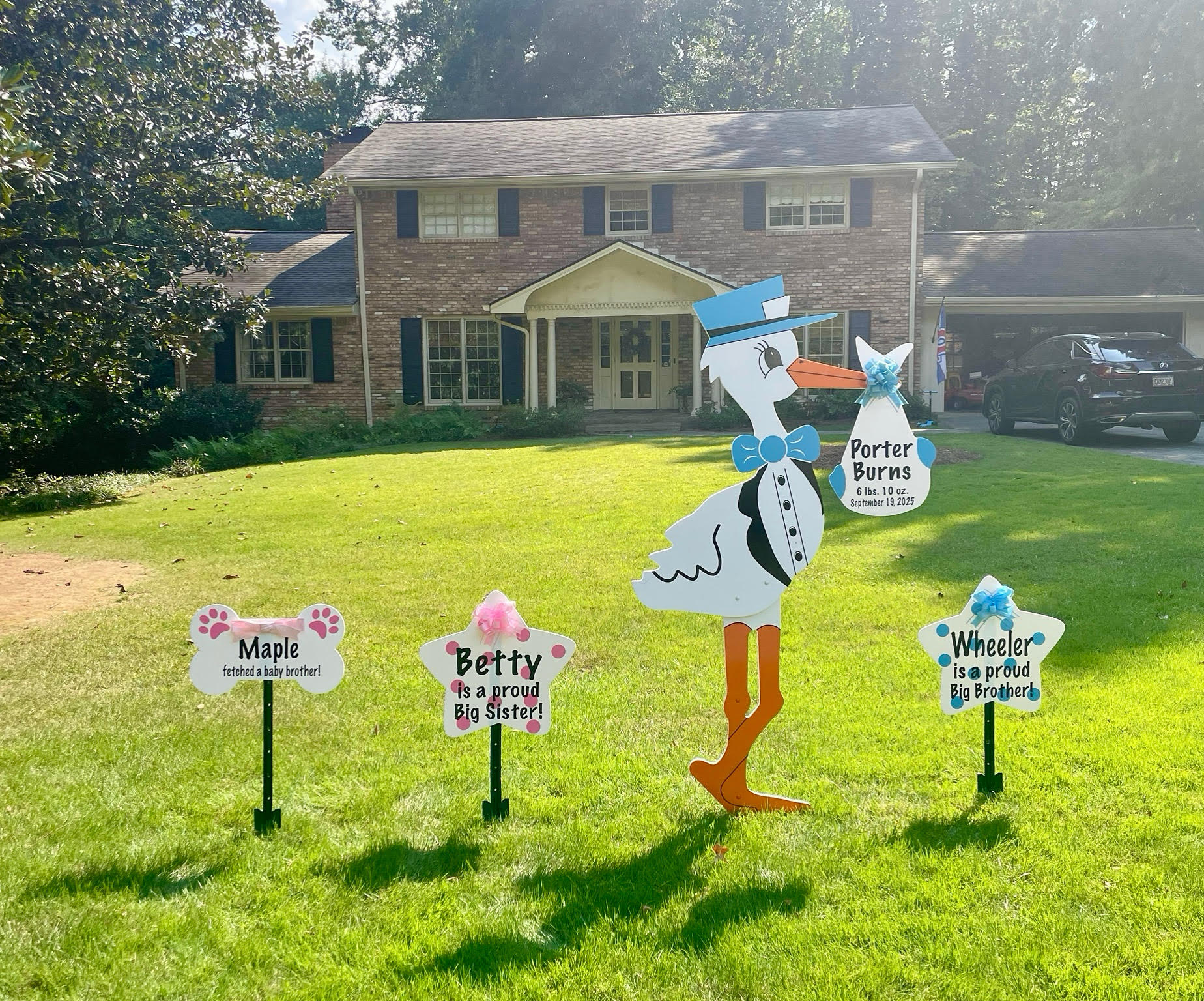 Birth Announcement Stork Sign in Chastain Park, Atlanta