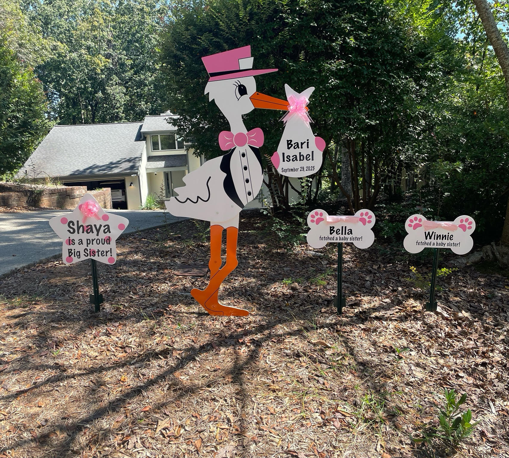 Birth Announcement Stork Sign in Sandy Springs, GA