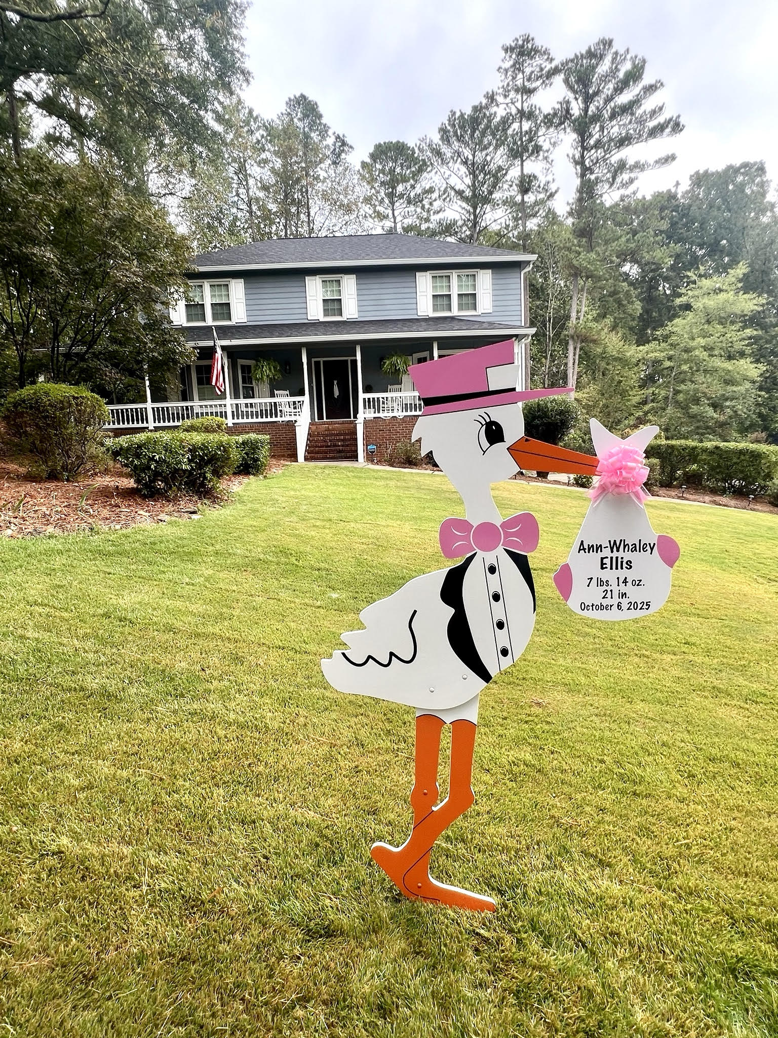 Birth Announcement Stork Sign in Marietta, GA