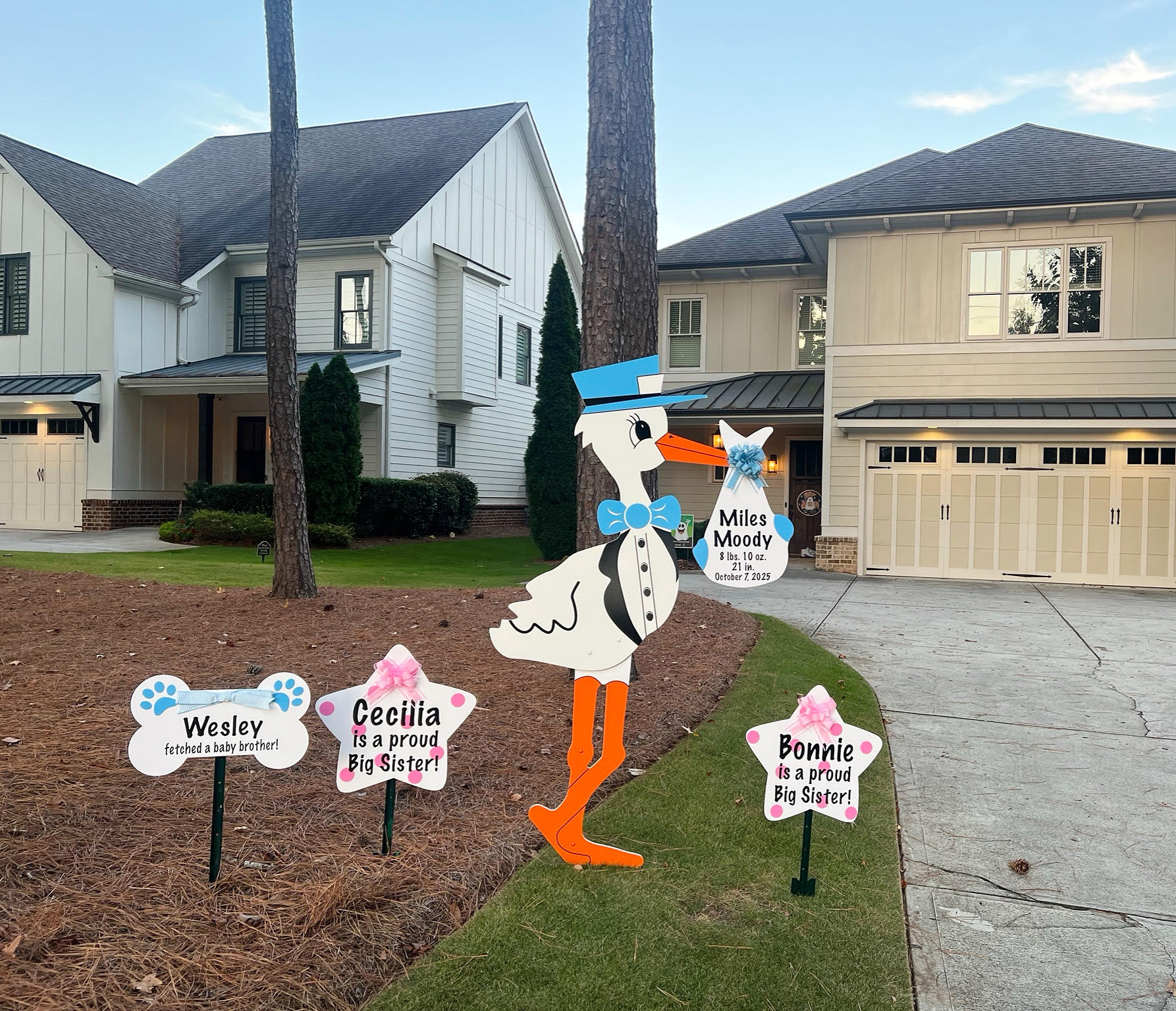 Birth Announcement Stork Sign in Brookhaven, GA